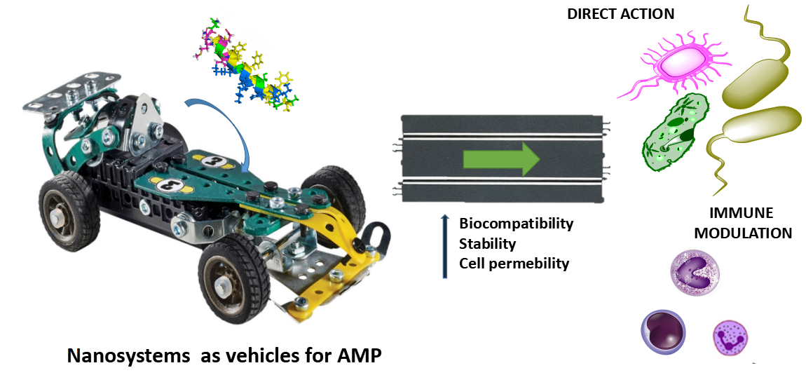 Pharmaceutics Free FullText Nanosystems as Vehicles for the