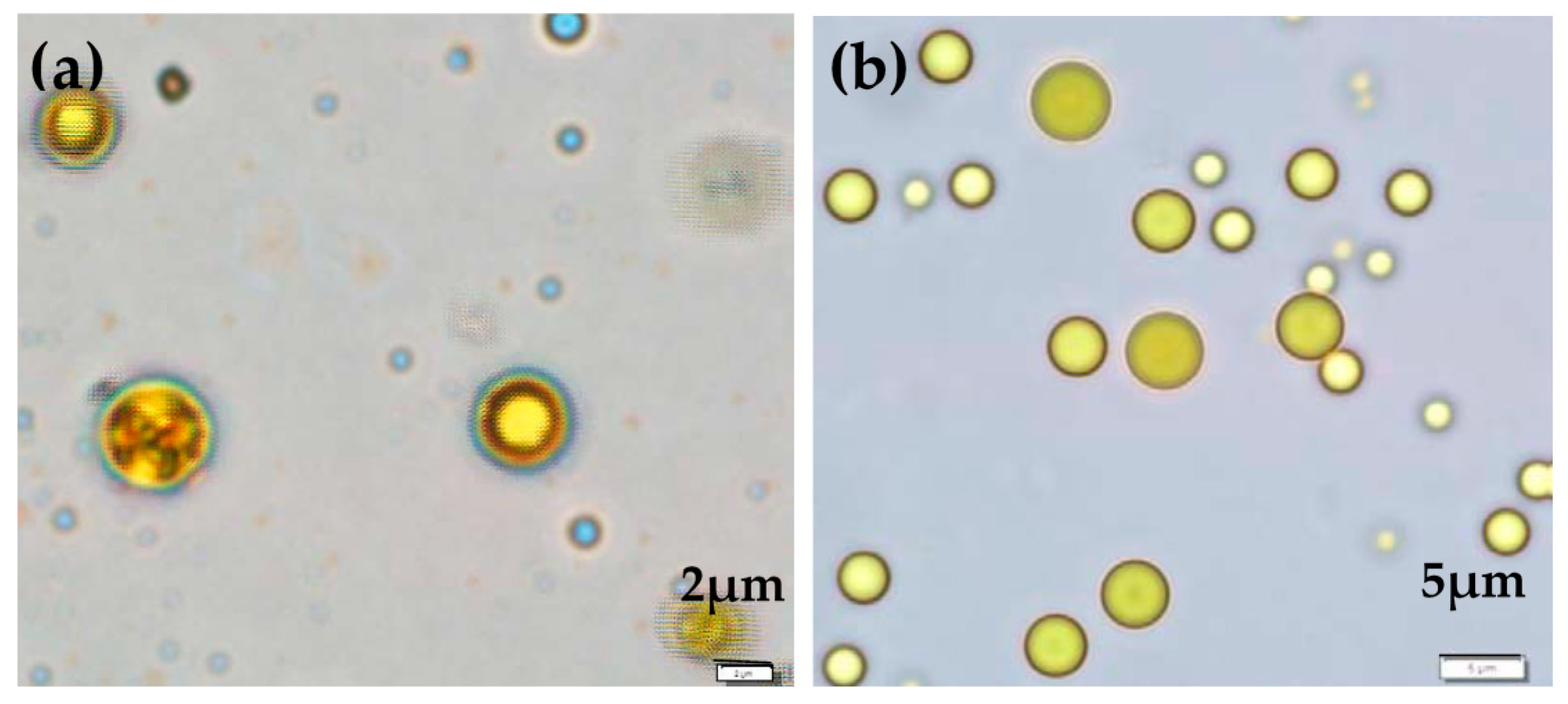 Pharmaceutics 11 00451 g001 Pharmaceutics 11 00451 g001