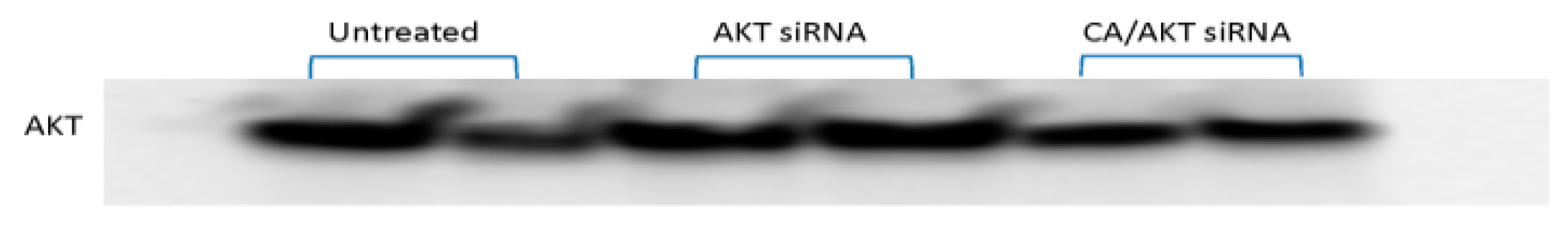 Pharmaceutics 11 00458 g001 Pharmaceutics 11 00458 g001