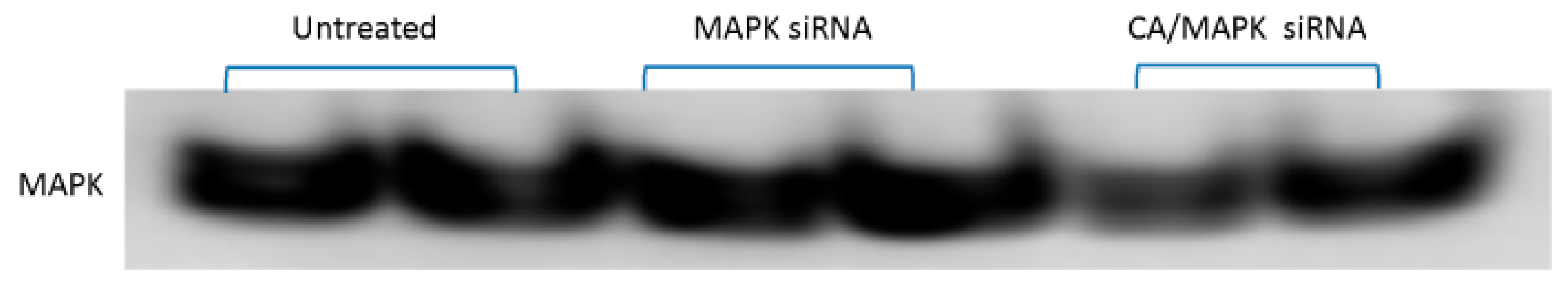 Pharmaceutics 11 00458 g002 Pharmaceutics 11 00458 g002