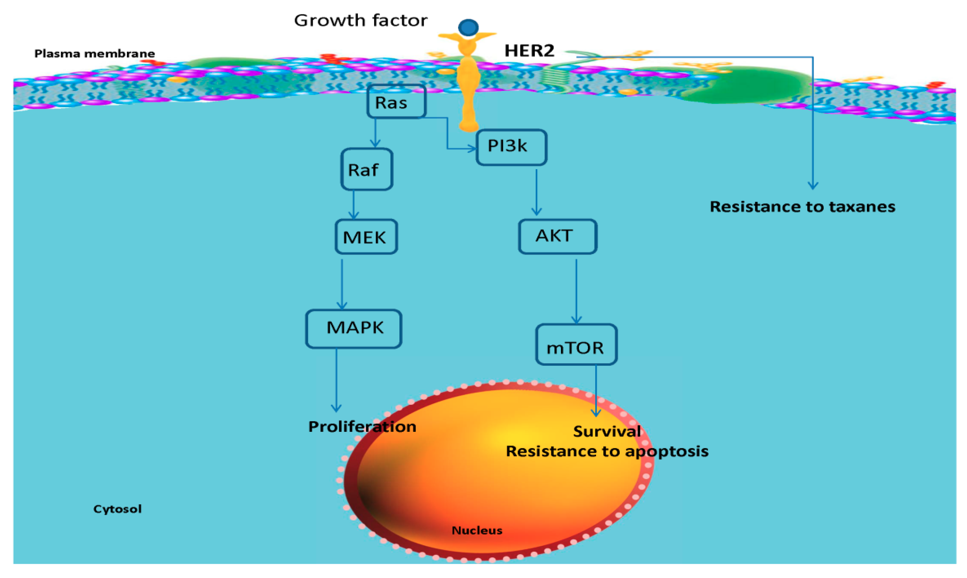 Pharmaceutics 11 00458 g008 Pharmaceutics 11 00458 g008