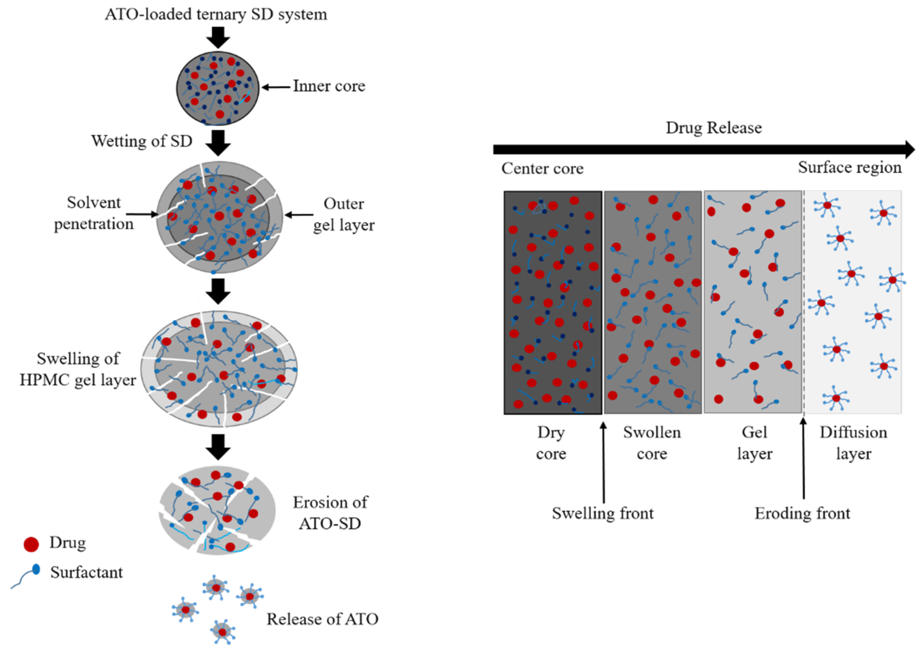 Pharmaceutics Free FullText SprayDried Amorphous Solid