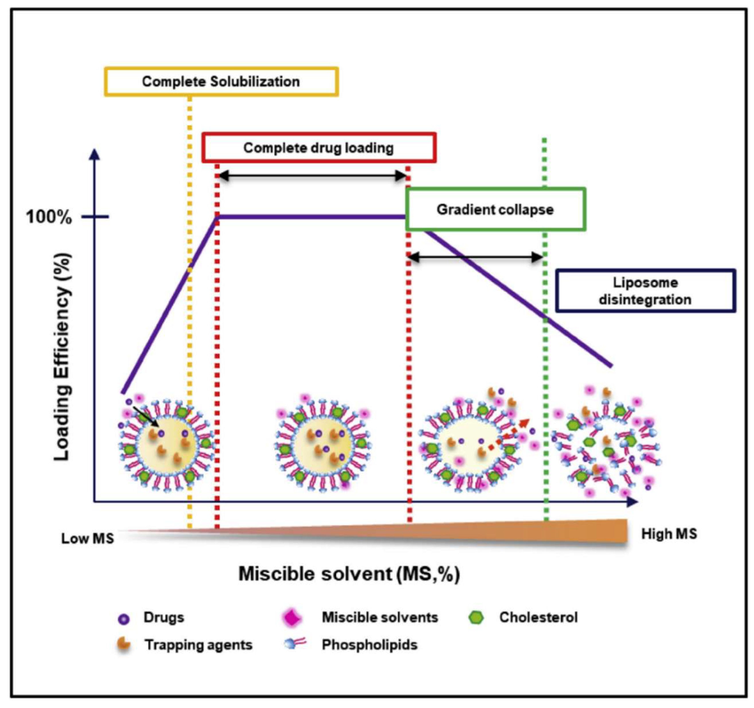 Pharmaceutics 11 00465 g004 Pharmaceutics 11 00465 g004