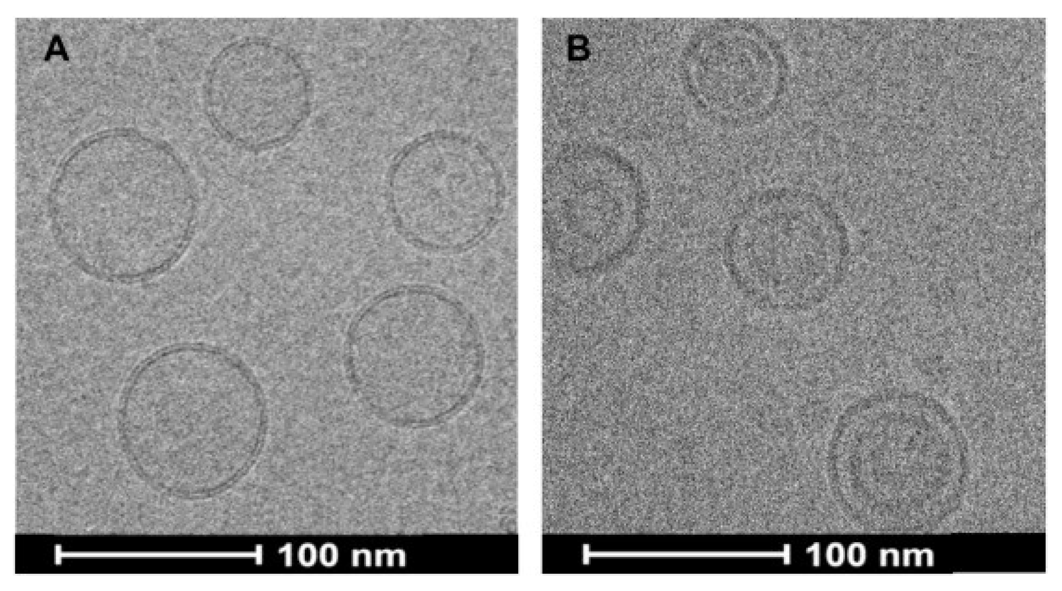 Pharmaceutics 11 00465 g005 Pharmaceutics 11 00465 g005