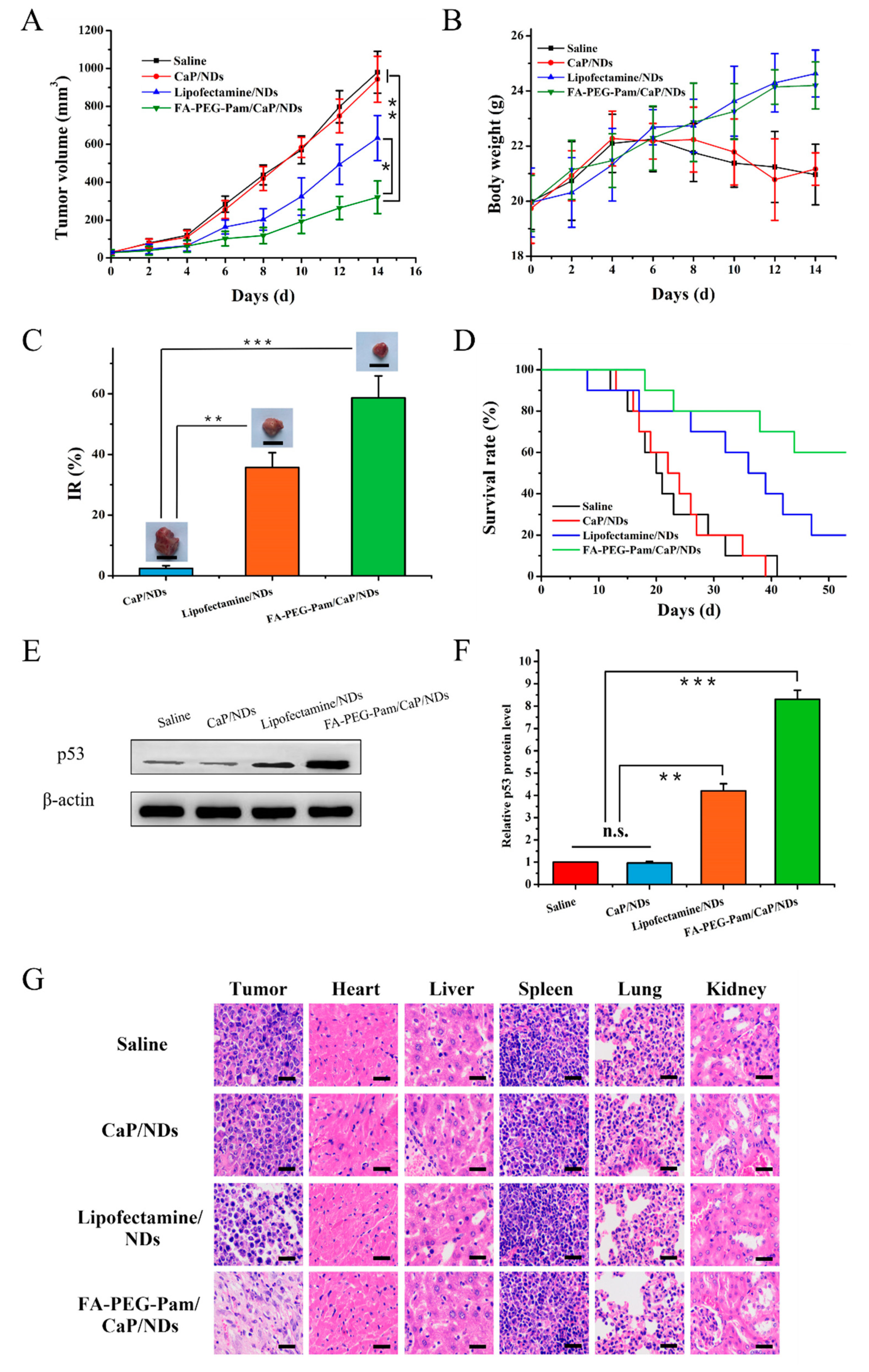 Pharmaceutics 11 00468 g009