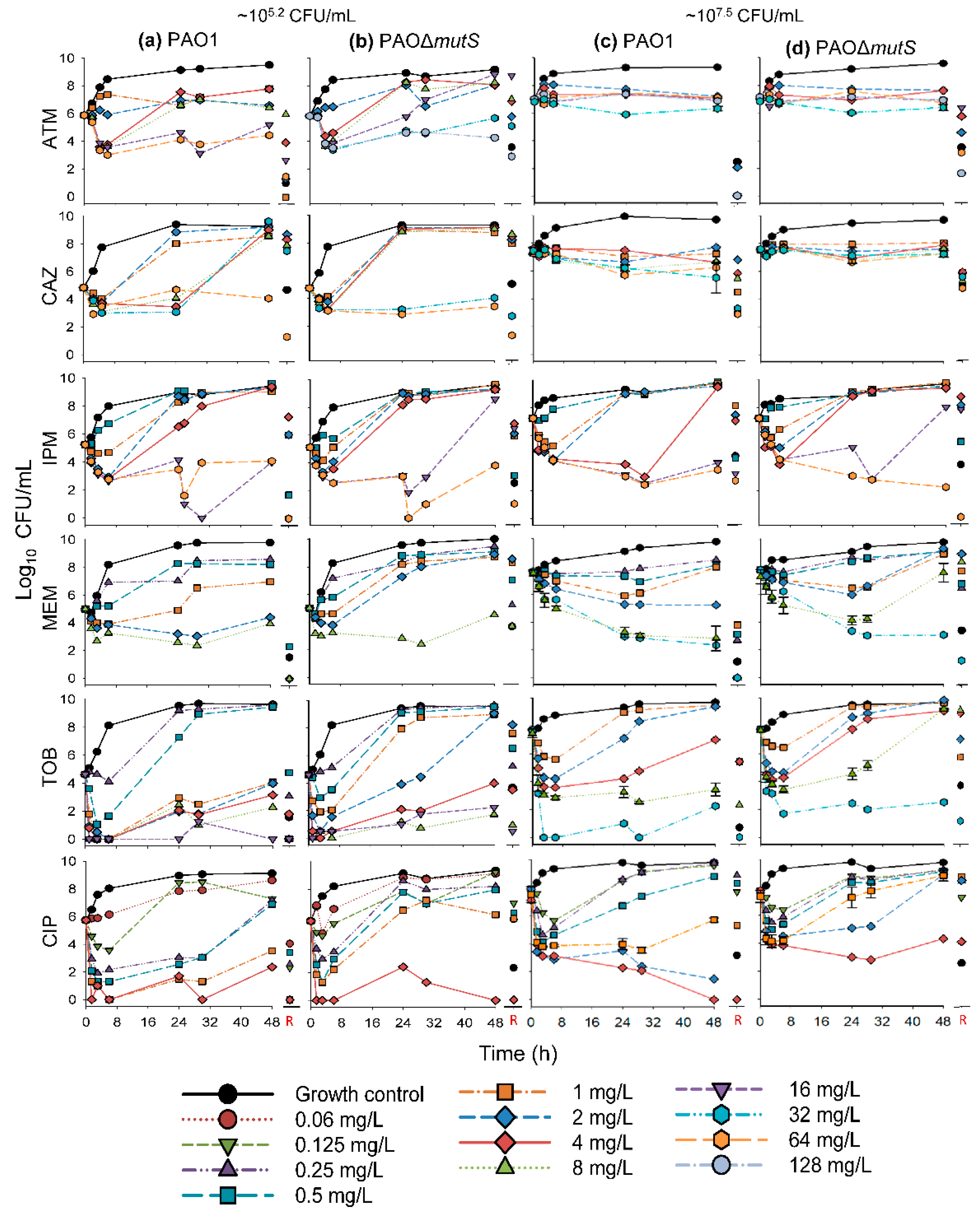 Pharmaceutics 11 00470 g002 Pharmaceutics 11 00470 g002