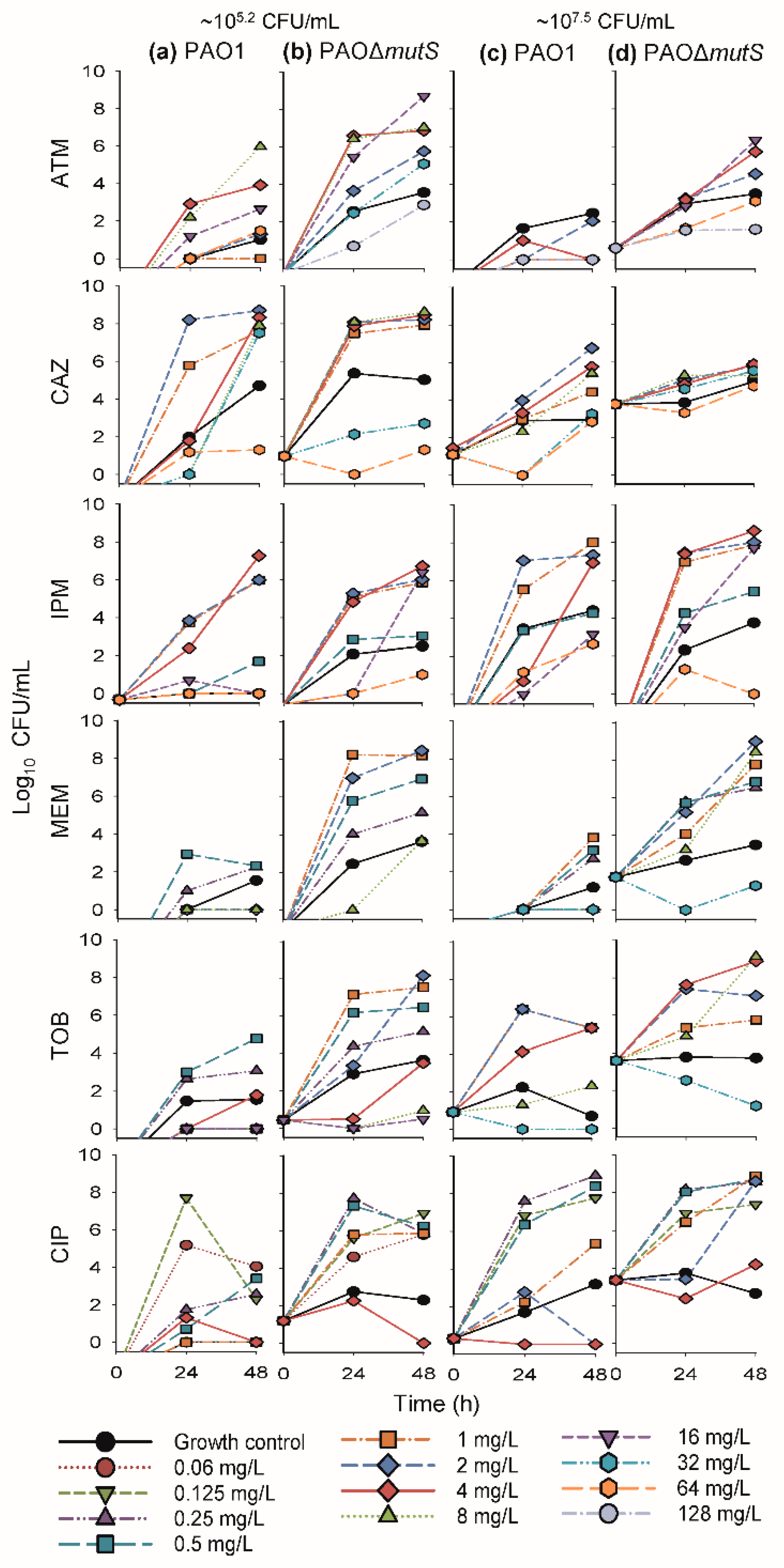 Pharmaceutics 11 00470 g003 Pharmaceutics 11 00470 g003