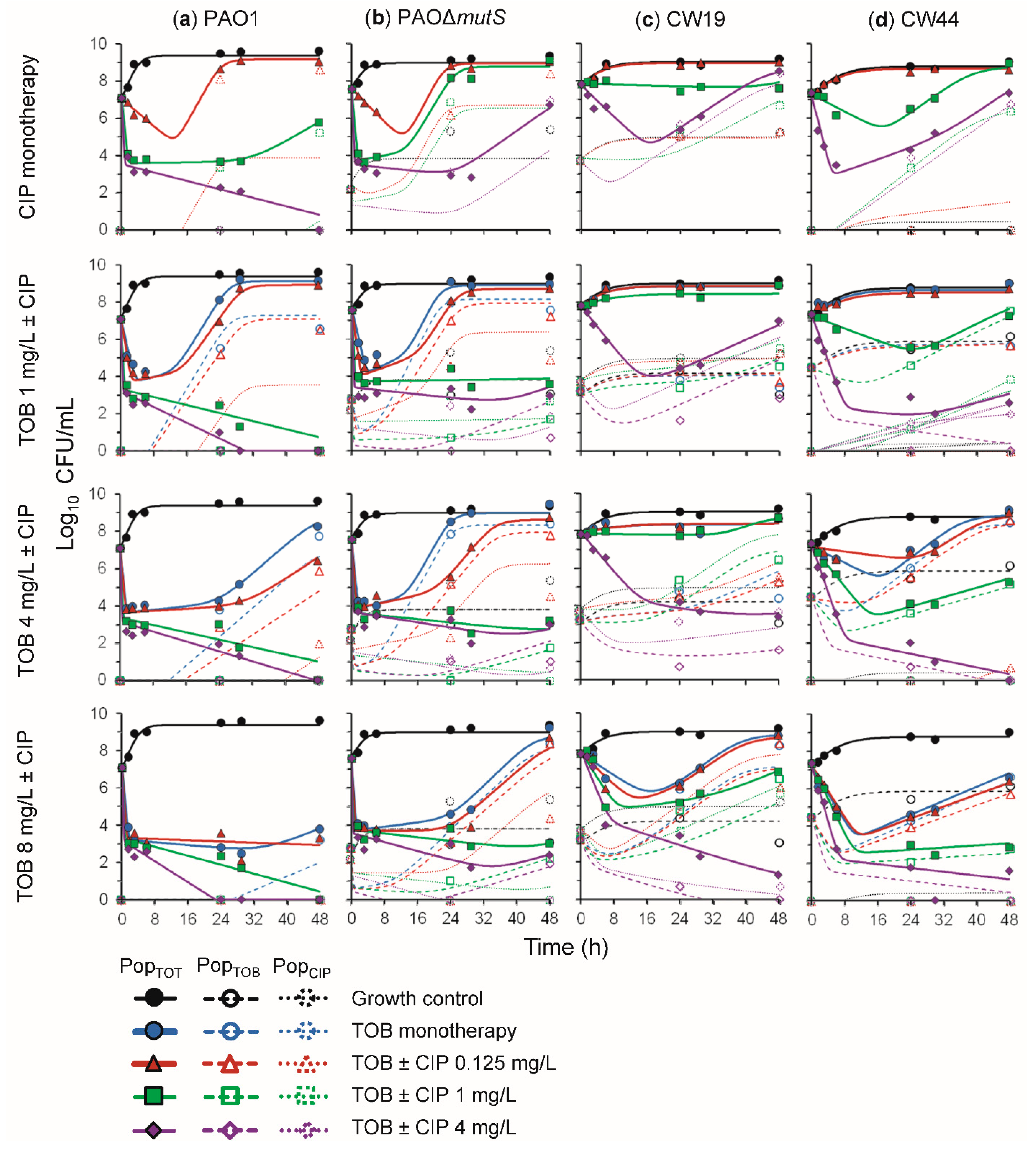 Pharmaceutics 11 00470 g004 Pharmaceutics 11 00470 g004