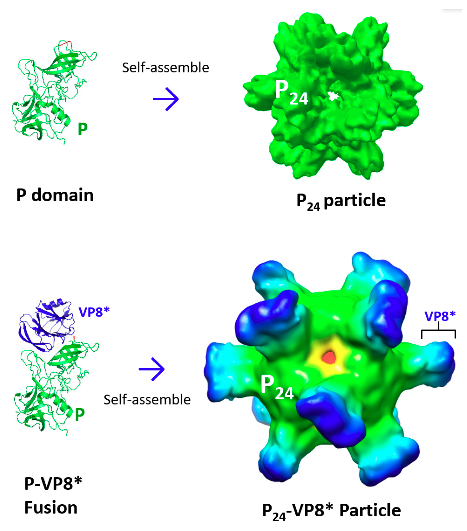 Pharmaceutics 11 00472 g003
