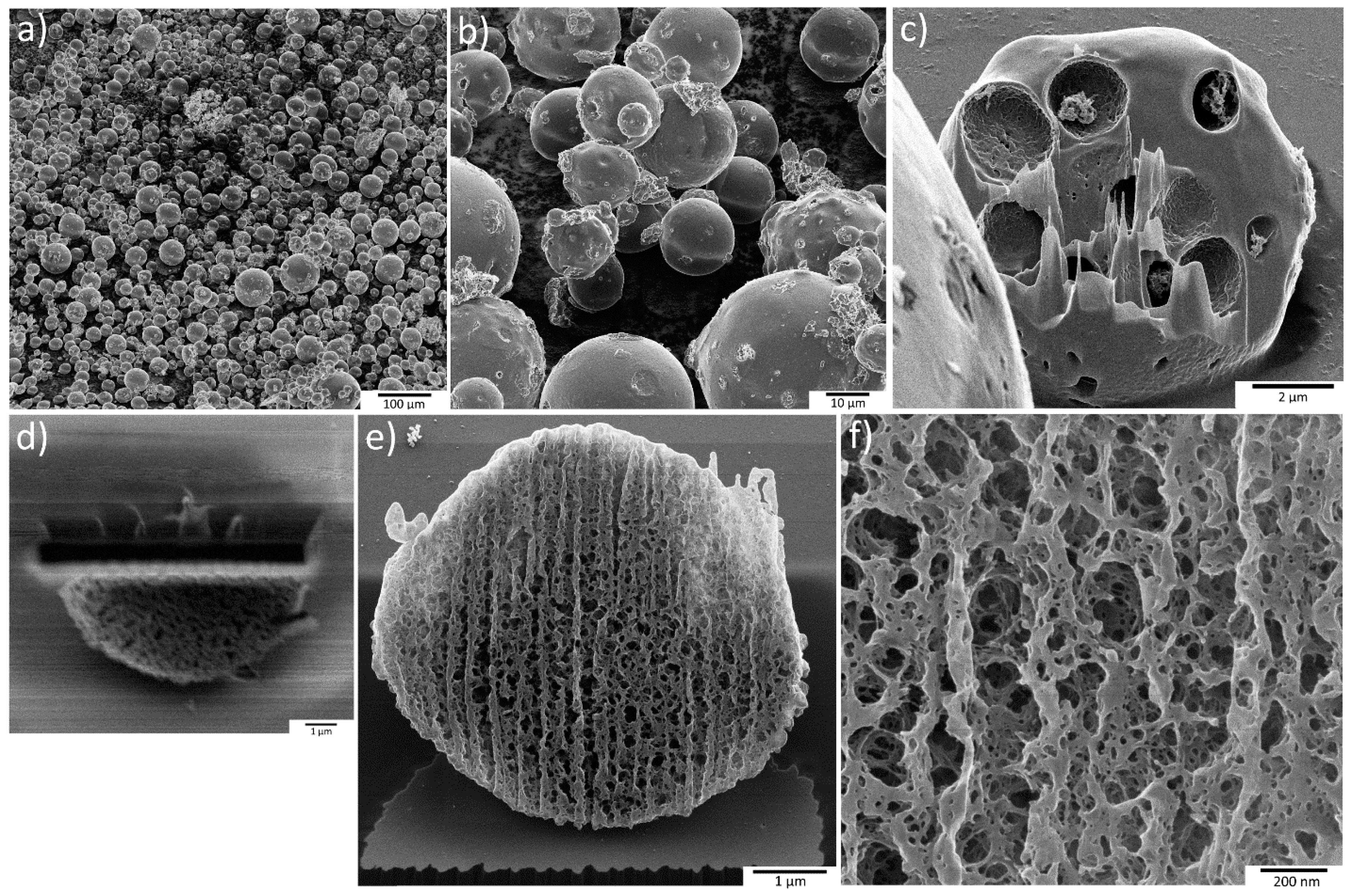 Pharmaceutics 11 00475 g003