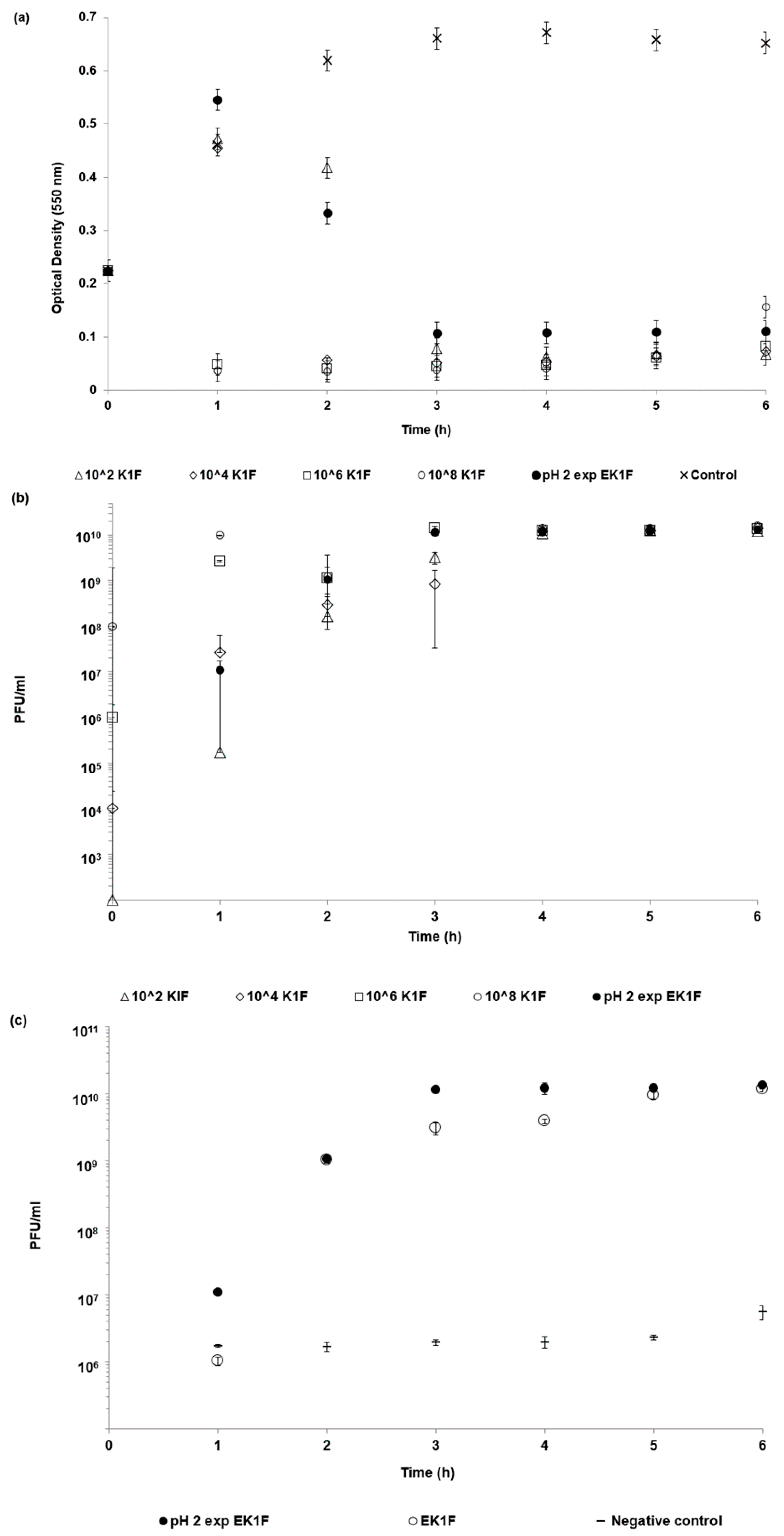 Pharmaceutics 11 00475 g007