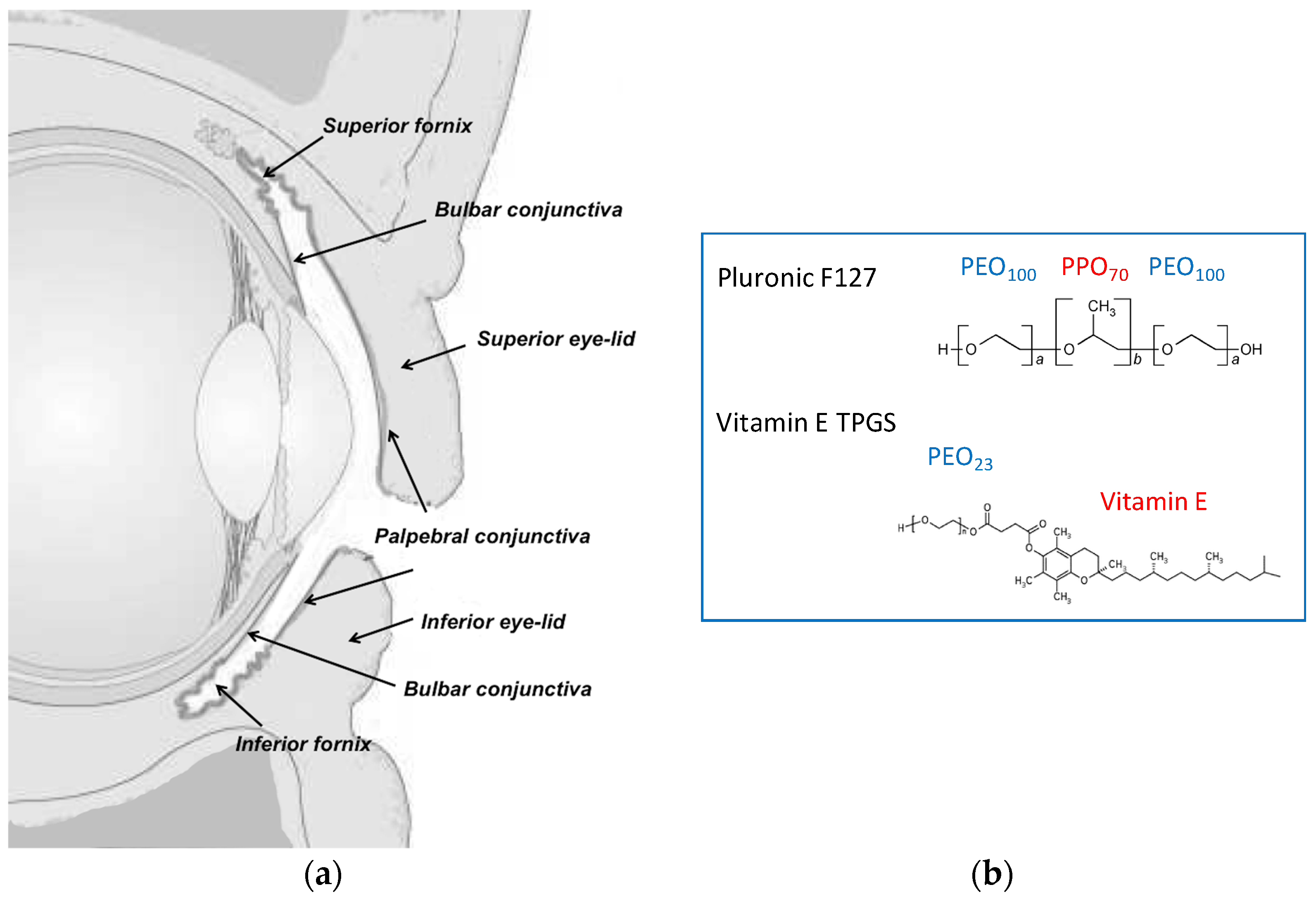 Pharmaceutics 11 00476 g001