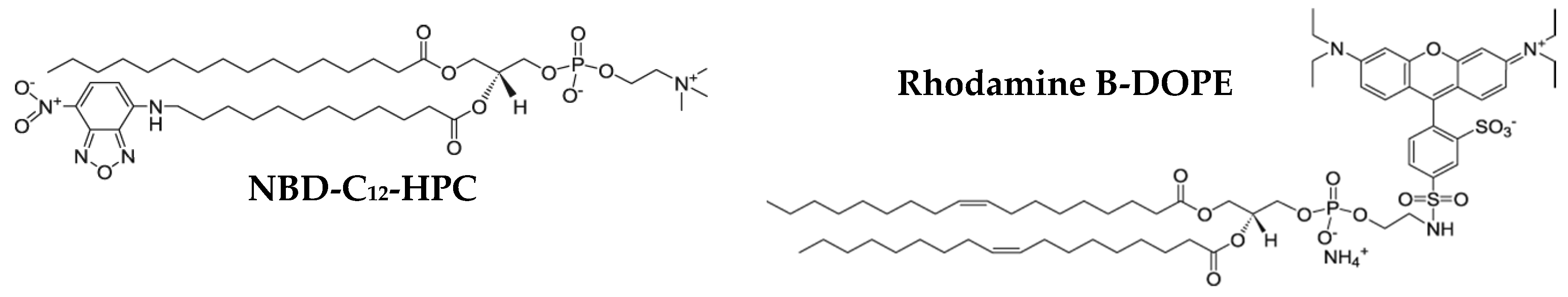 Pharmaceutics 11 00477 g002
