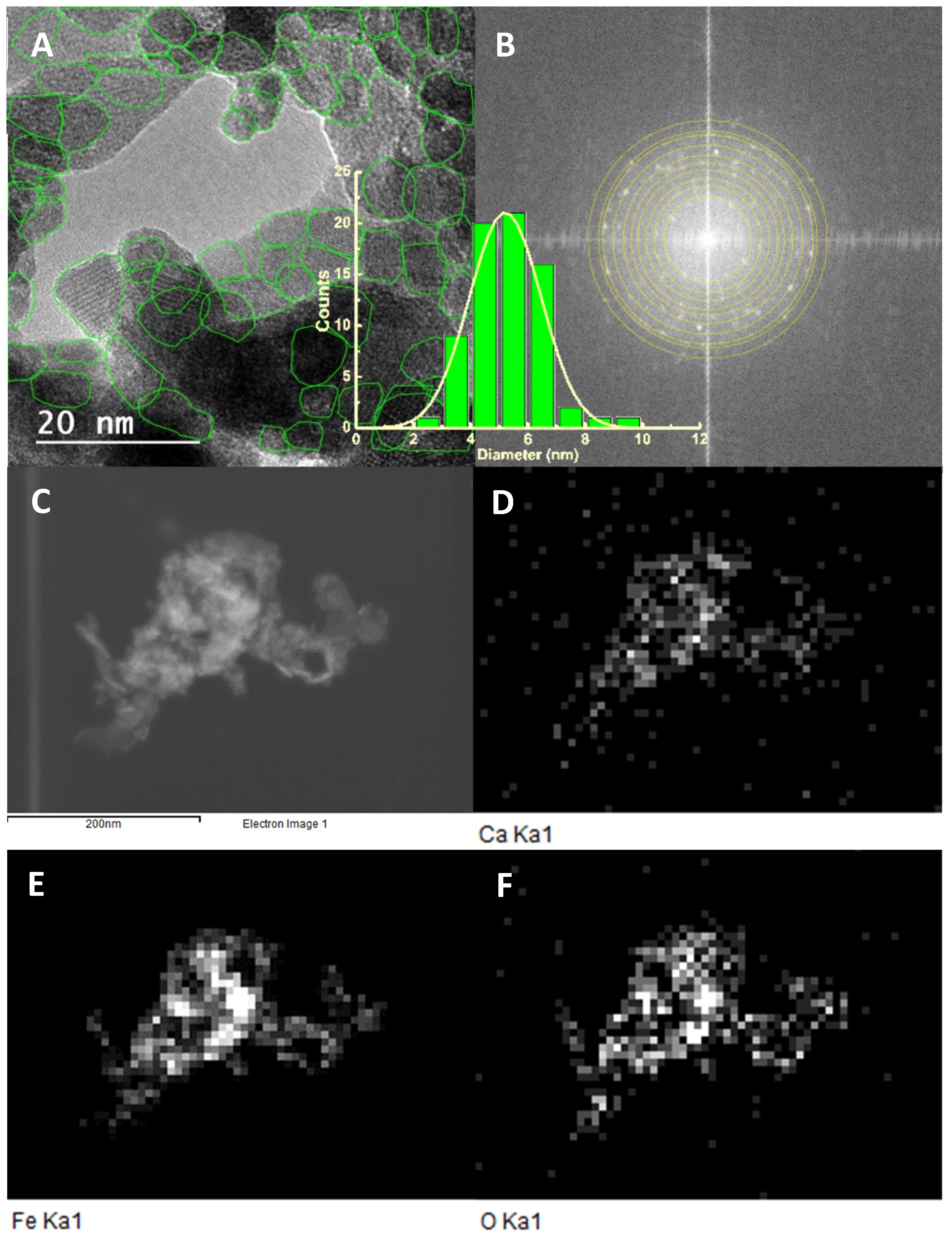 Pharmaceutics 11 00477 g007