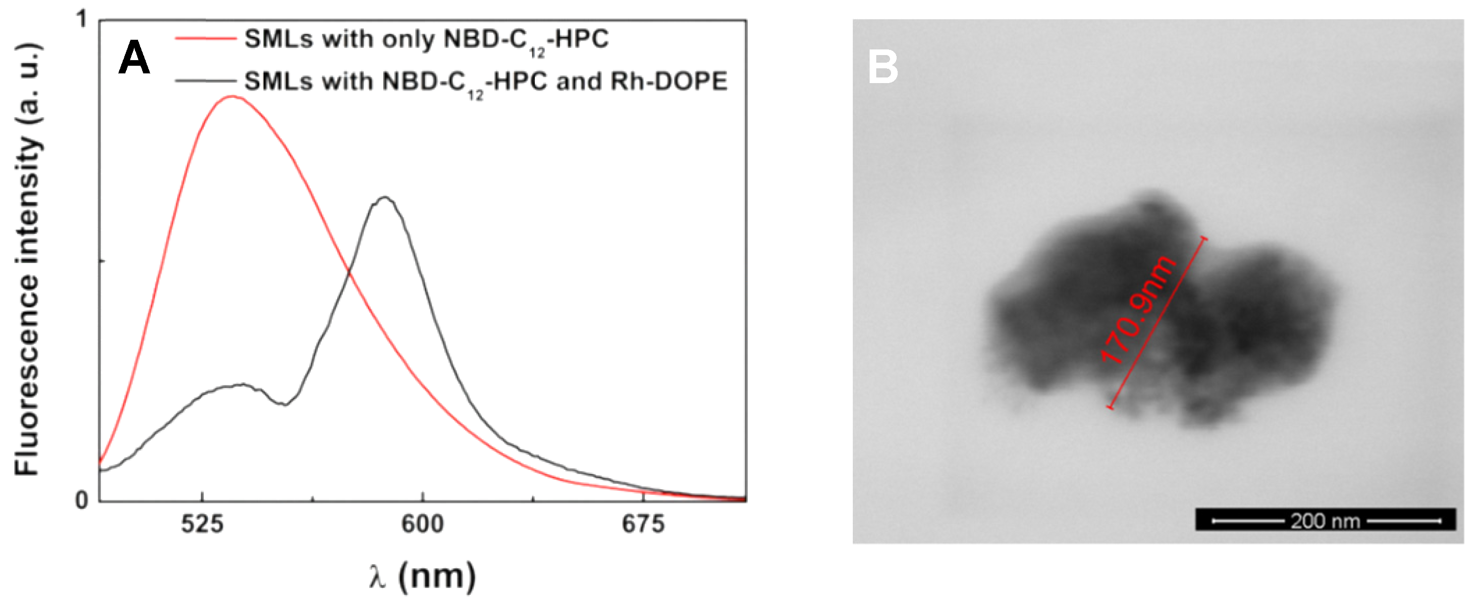 Pharmaceutics 11 00477 g009