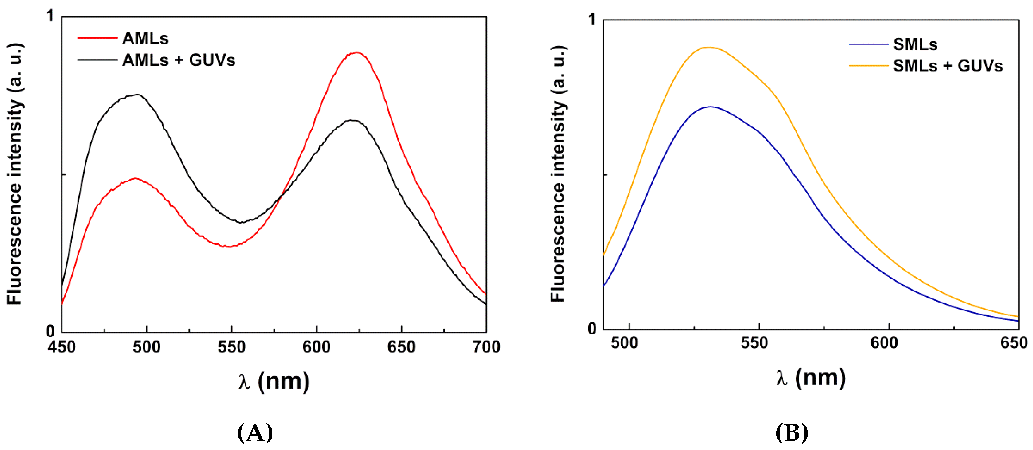 Pharmaceutics 11 00477 g010