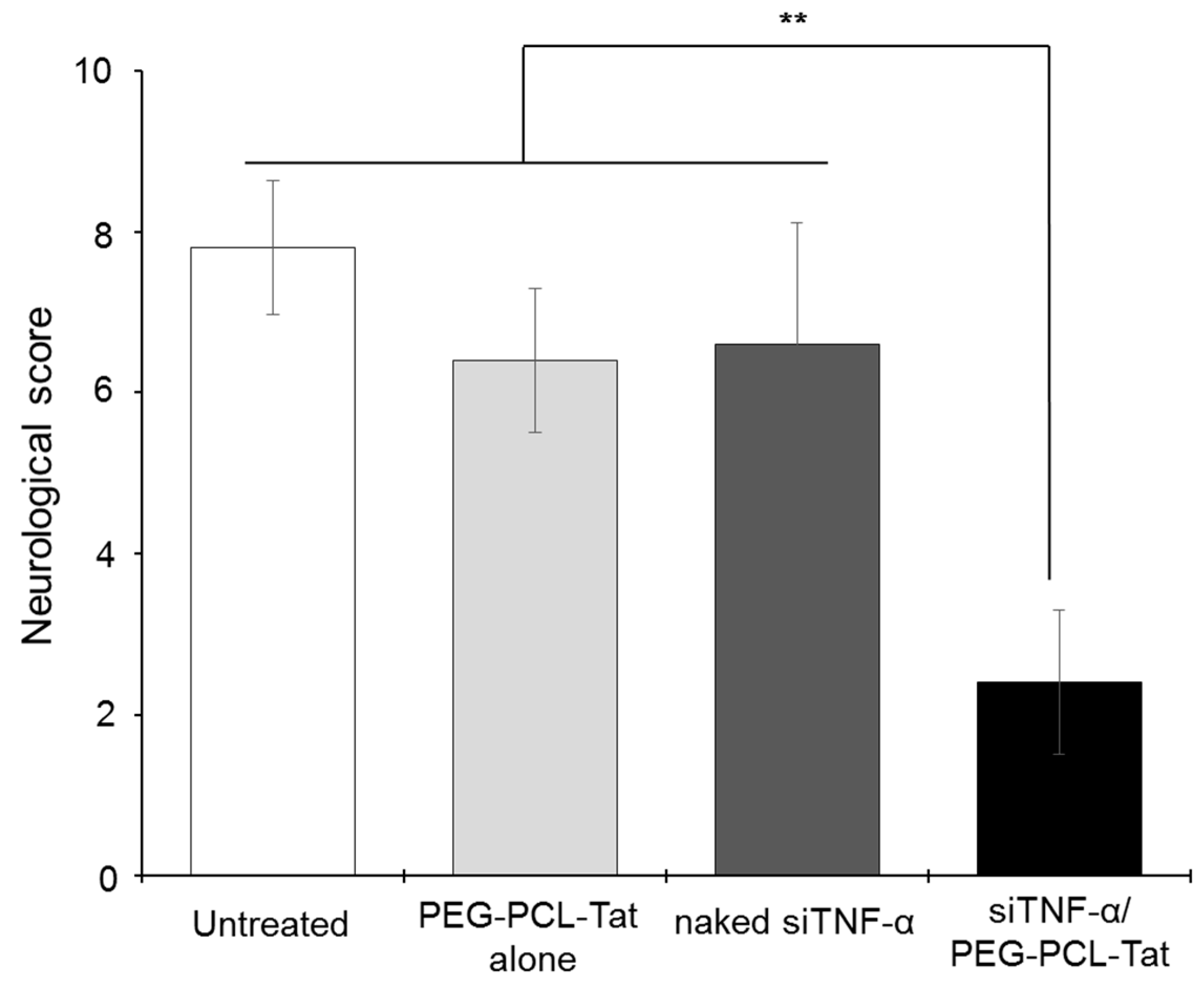 Pharmaceutics 11 00478 g005