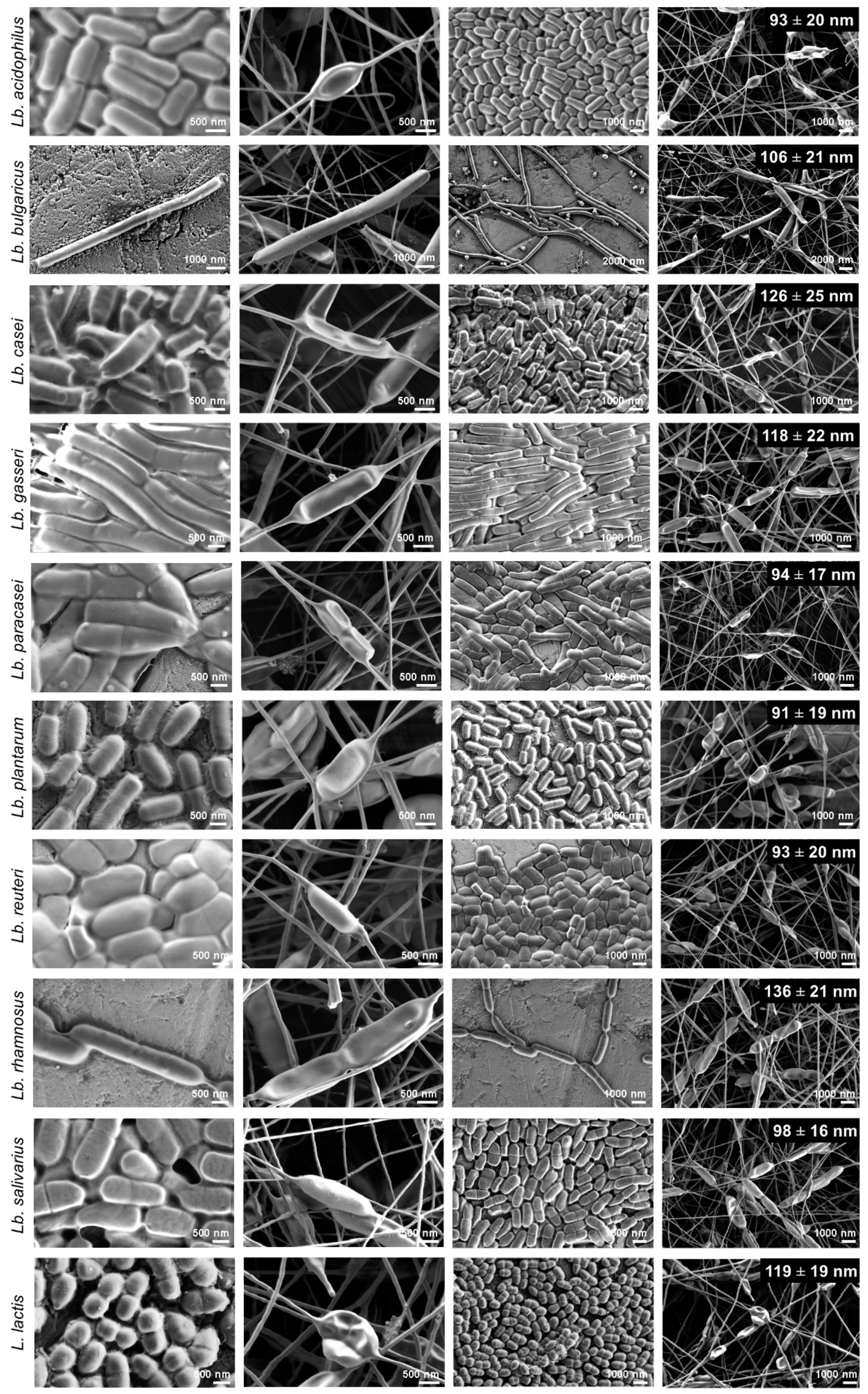 Pharmaceutics 11 00483 g003 Pharmaceutics 11 00483 g003