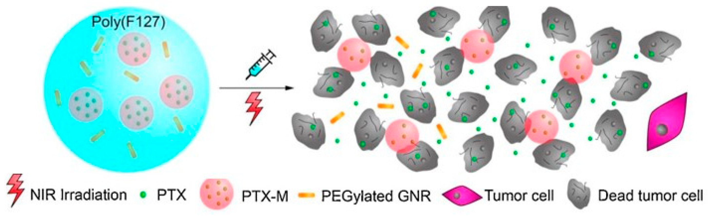 Pharmaceutics 11 00486 g004