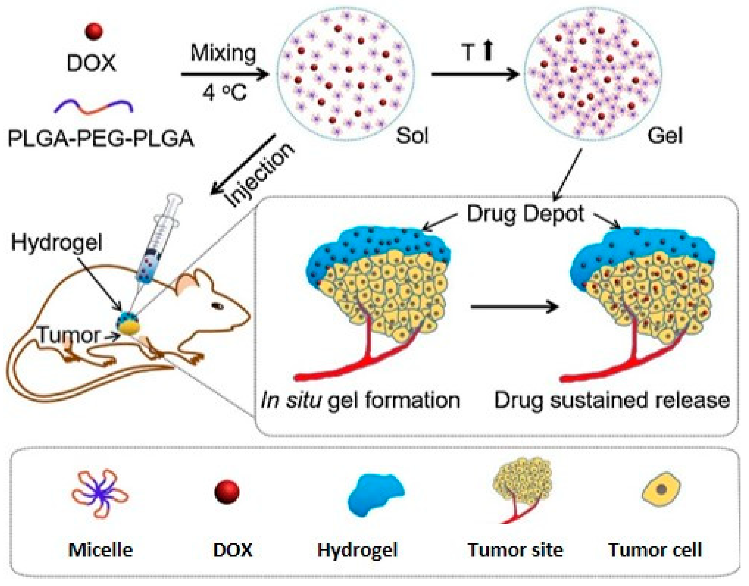 Pharmaceutics 11 00486 g006