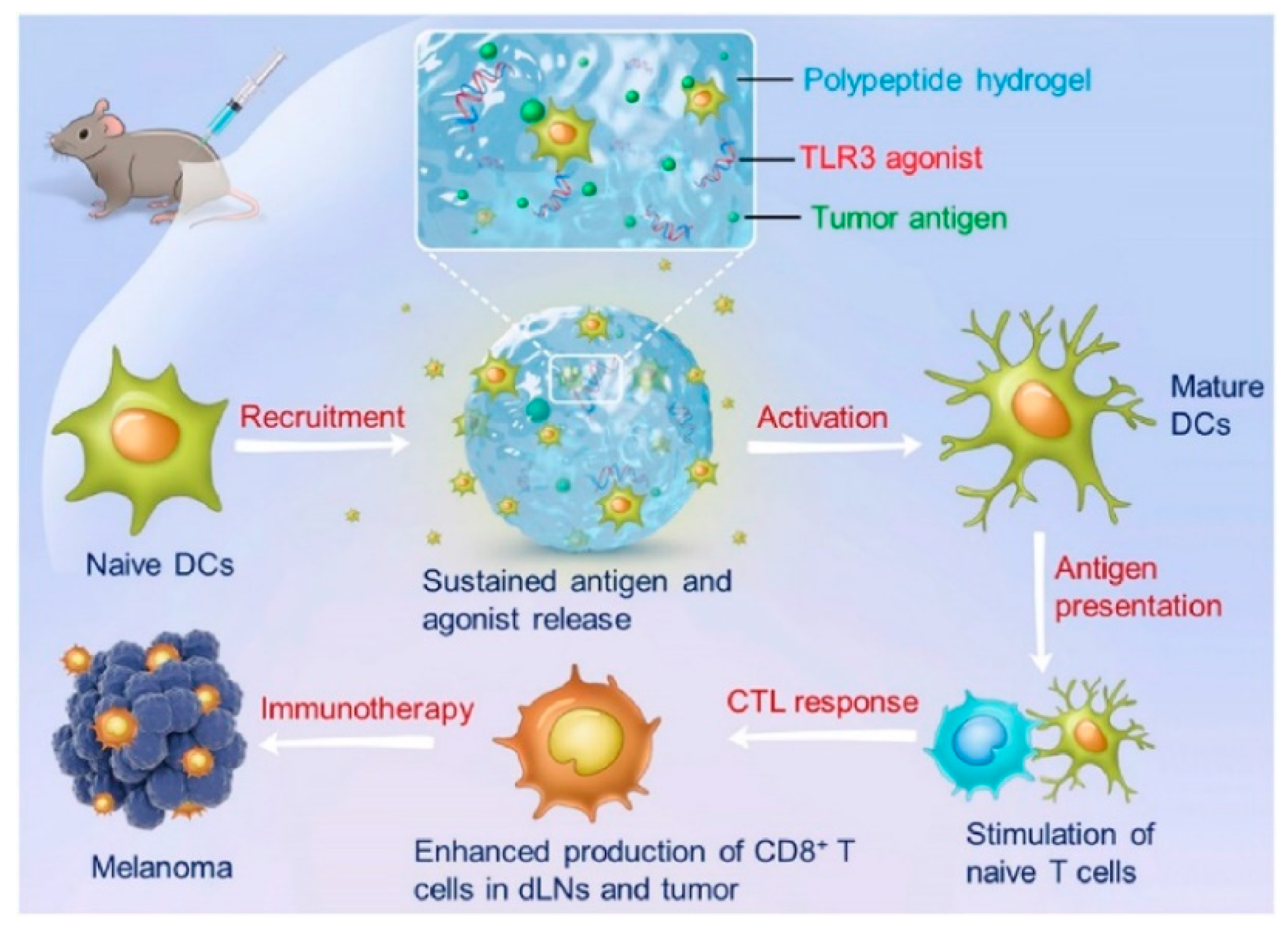 Pharmaceutics 11 00486 g009