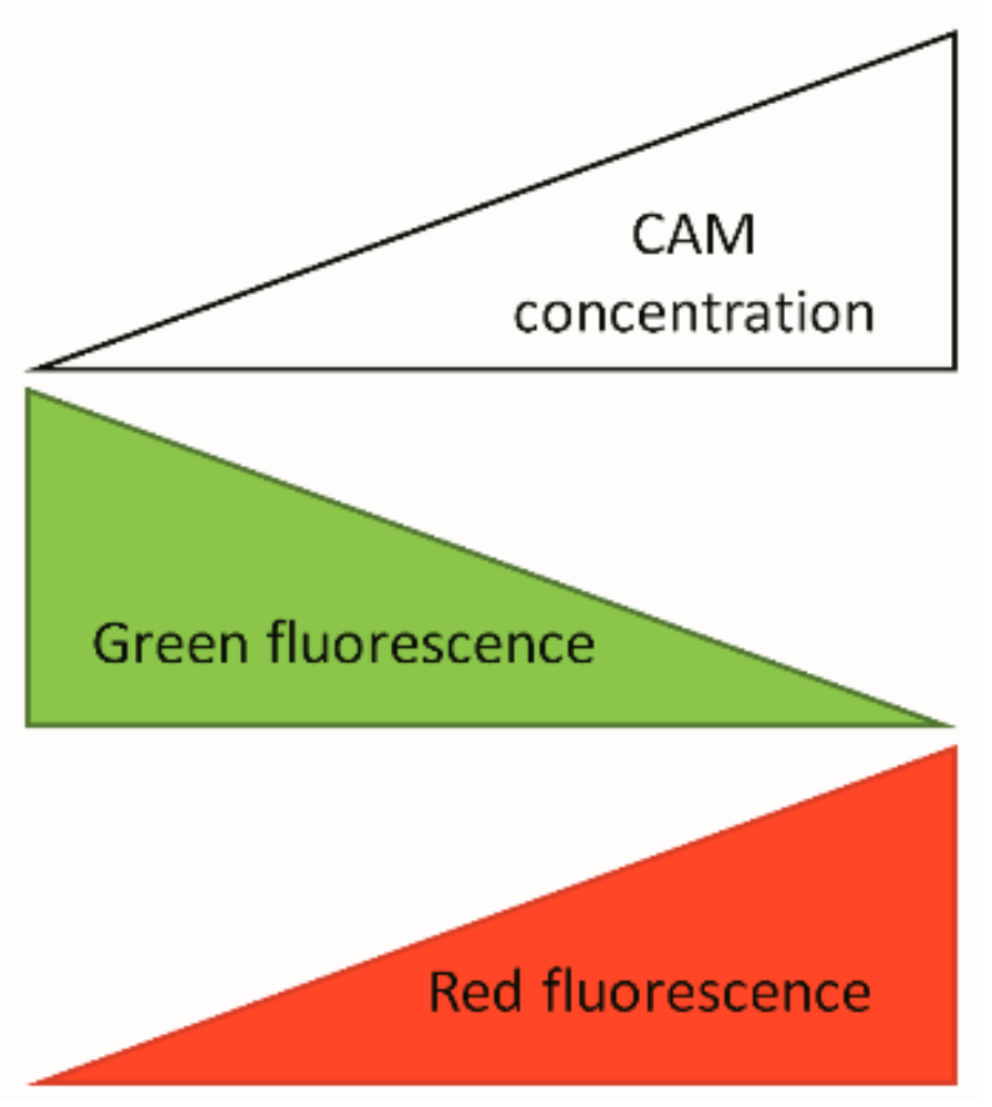 Pharmaceutics 11 00487 g0a2 Pharmaceutics 11 00487 g0a2