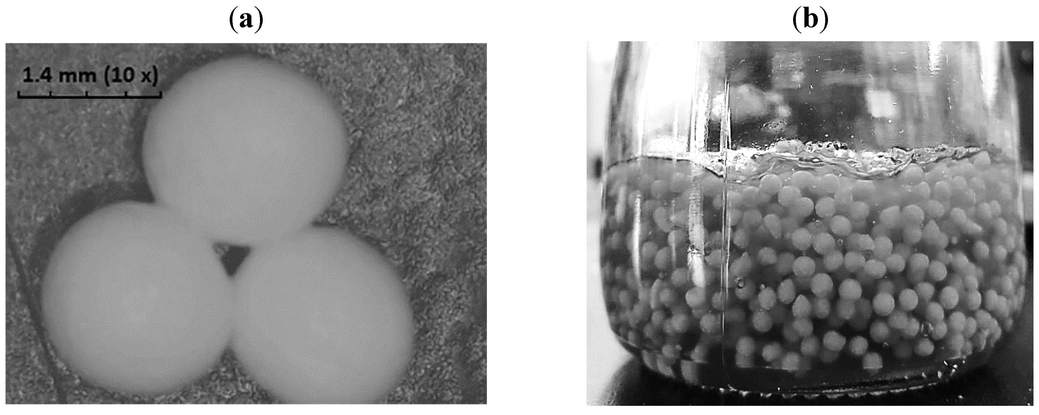 Pharmaceutics 11 00488 g002