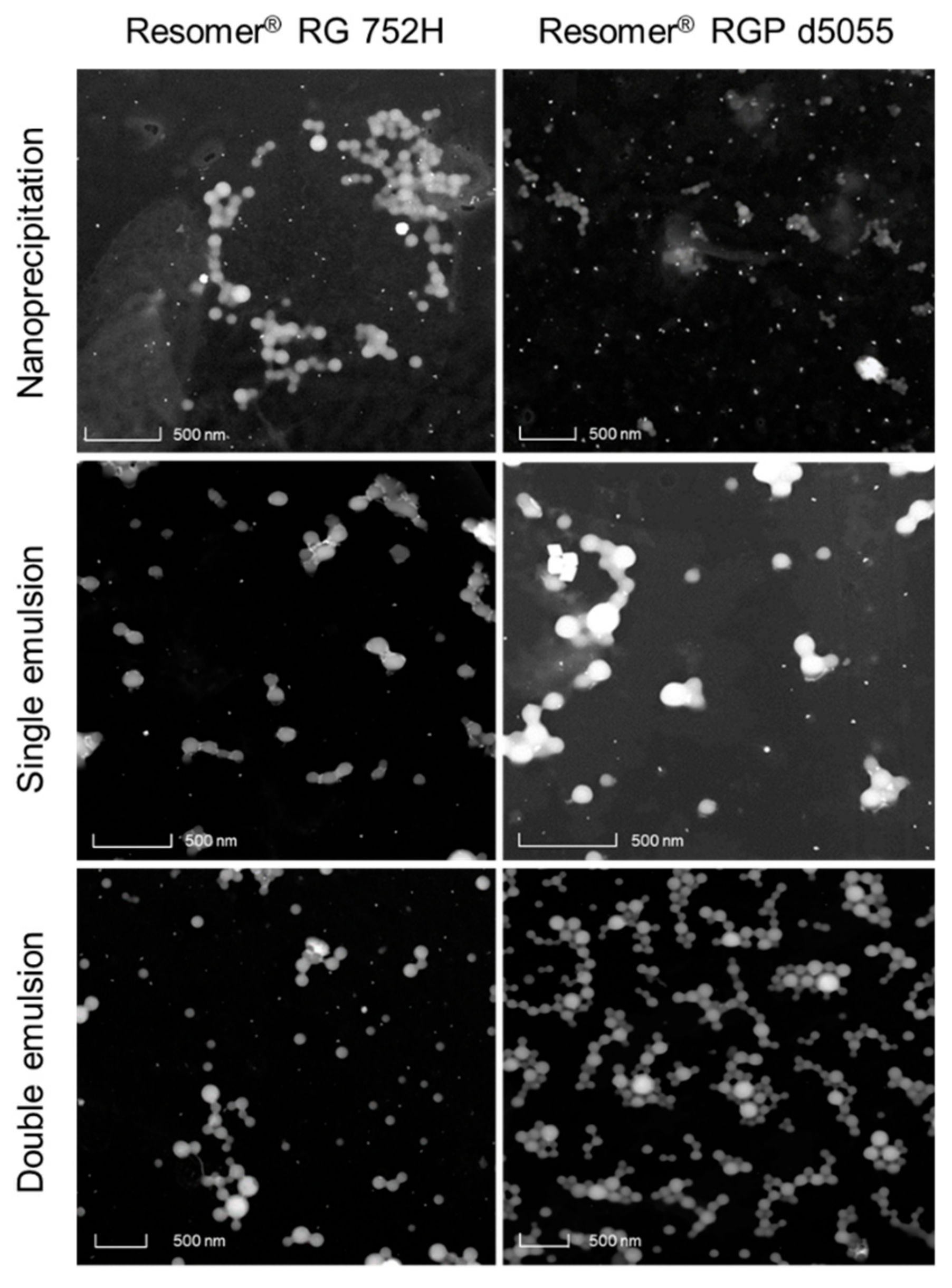 Pharmaceutics 11 00489 g002