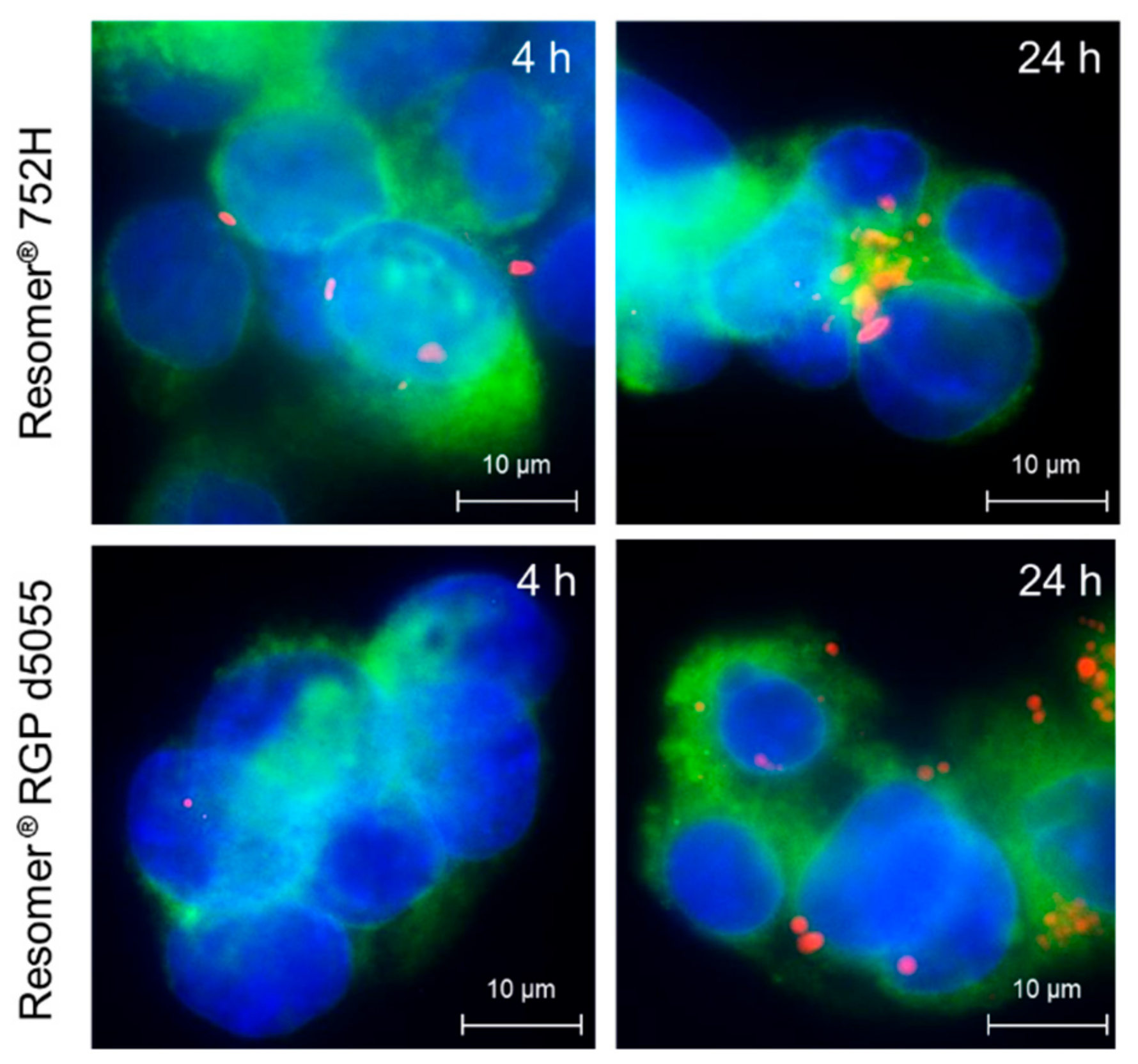 Pharmaceutics 11 00489 g008
