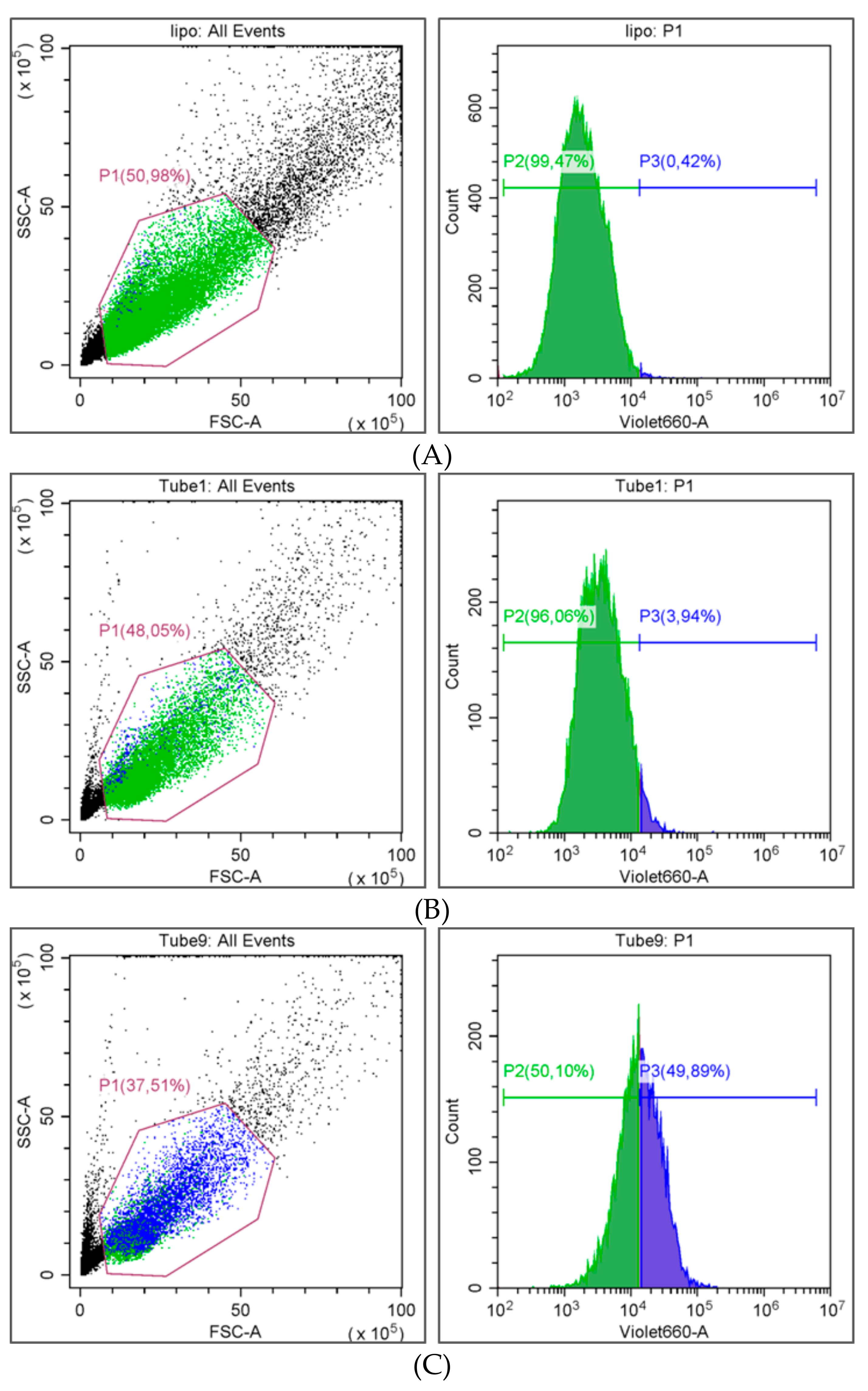 Pharmaceutics 11 00489 g009