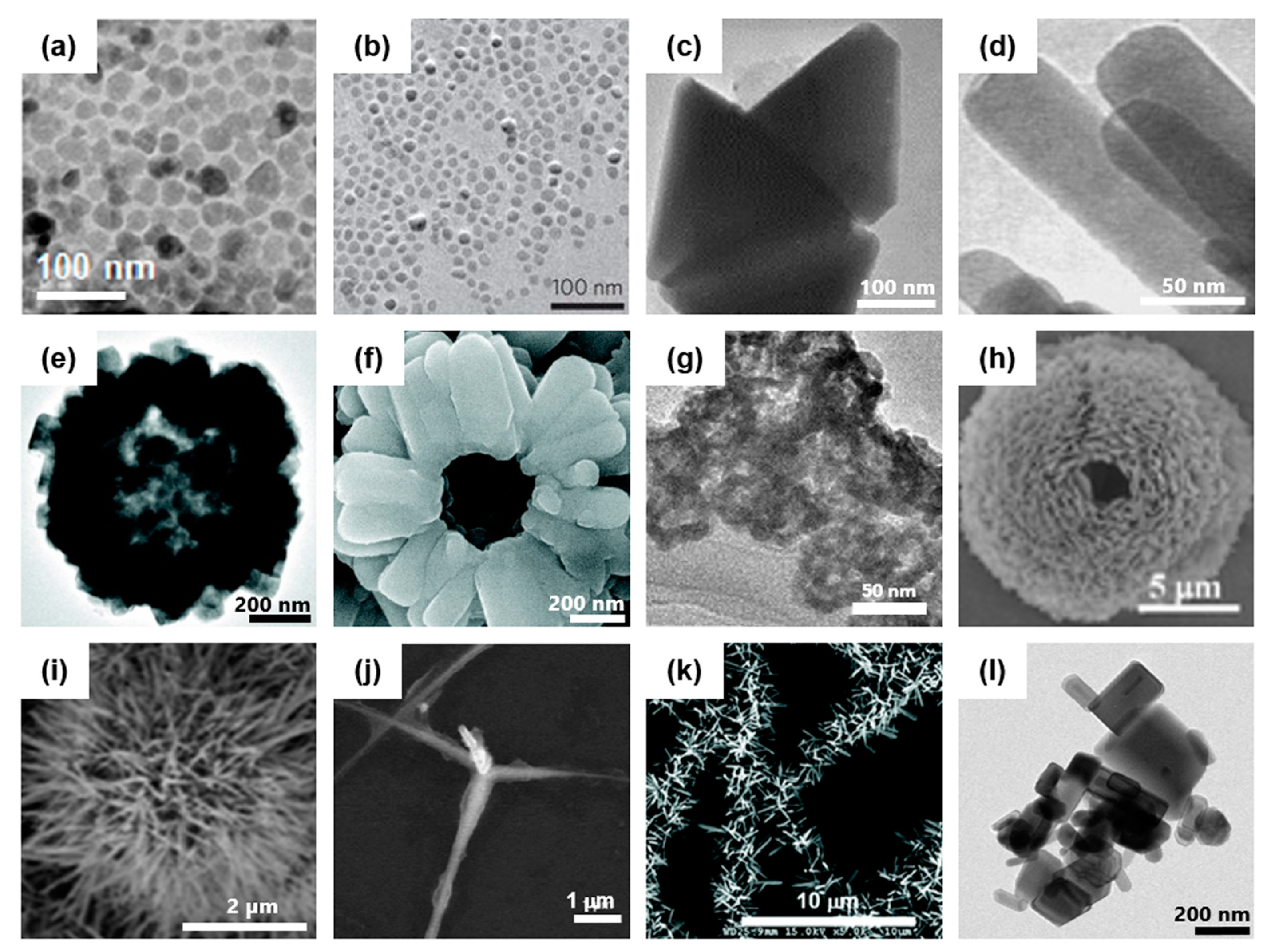 Pharmaceutics 11 00493 g001 Pharmaceutics 11 00493 g001