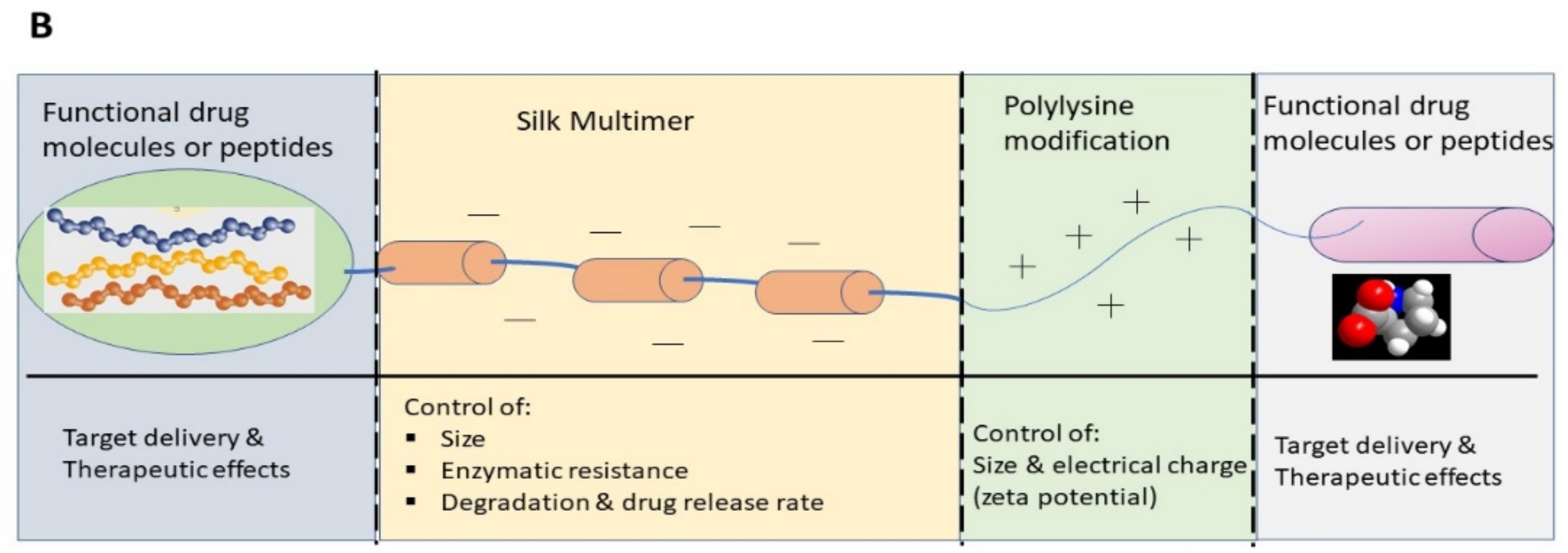 Pharmaceutics 11 00494 g007b