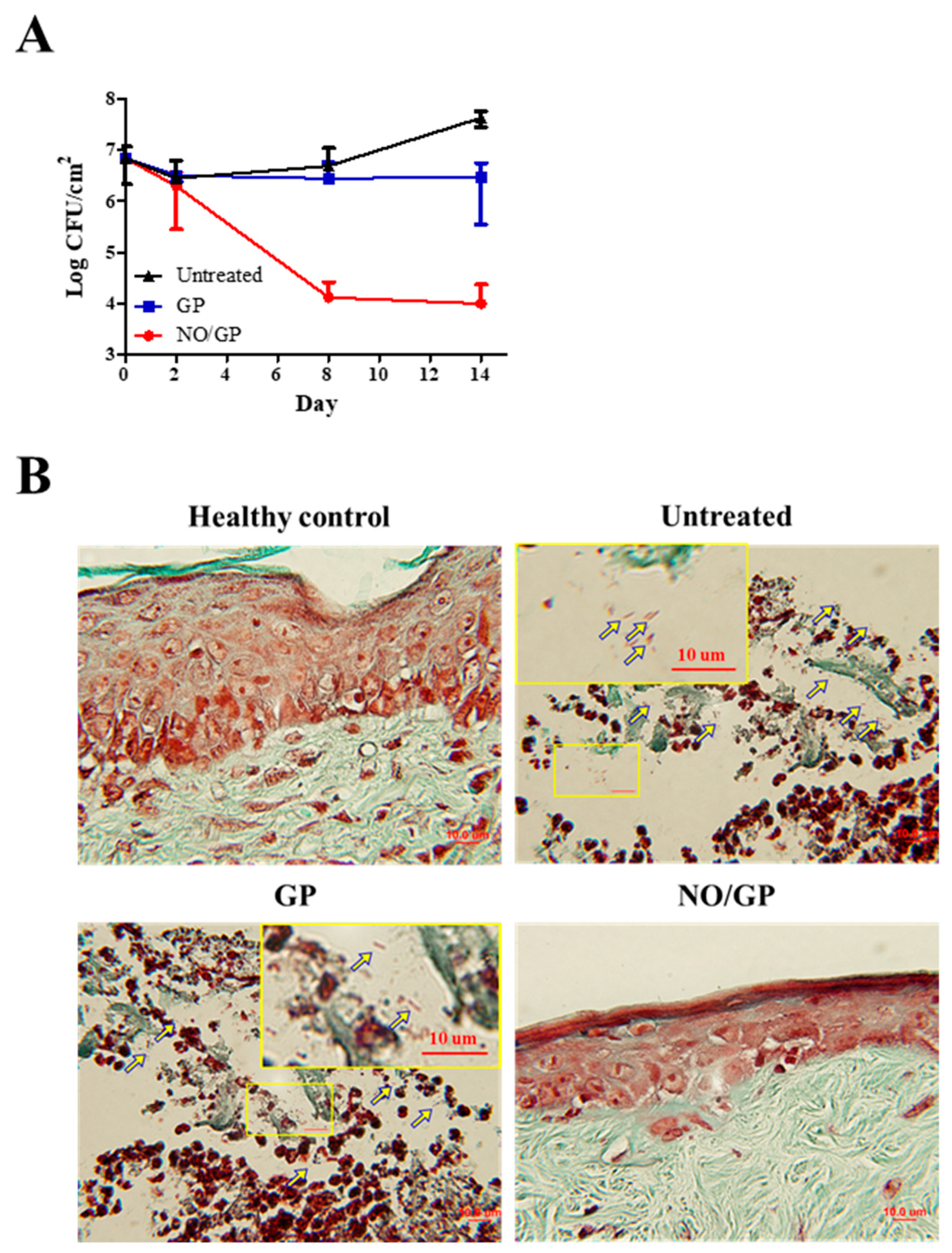 Pharmaceutics 11 00496 g007 Pharmaceutics 11 00496 g007