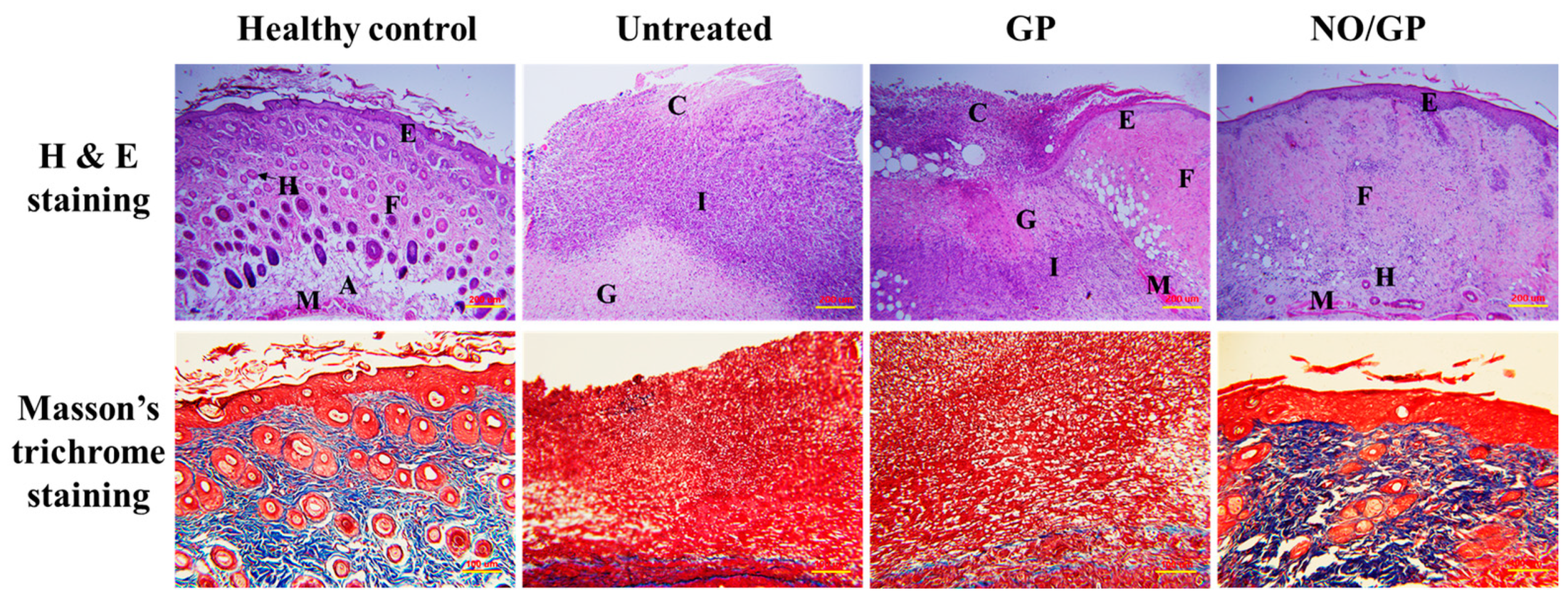 Pharmaceutics 11 00496 g008 Pharmaceutics 11 00496 g008