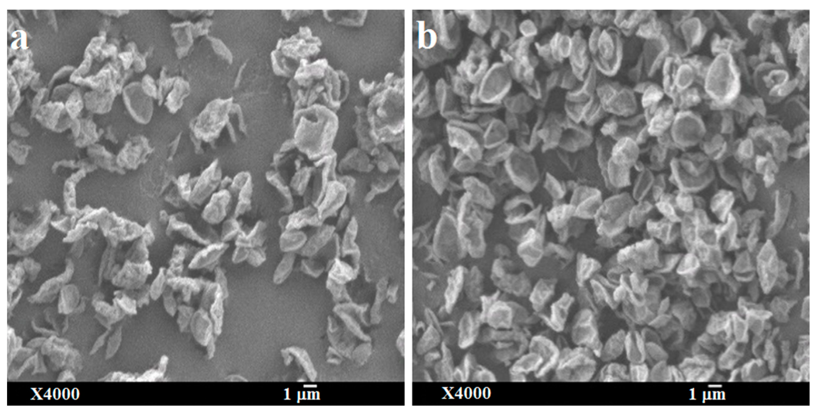 Pharmaceutics 11 00502 g008