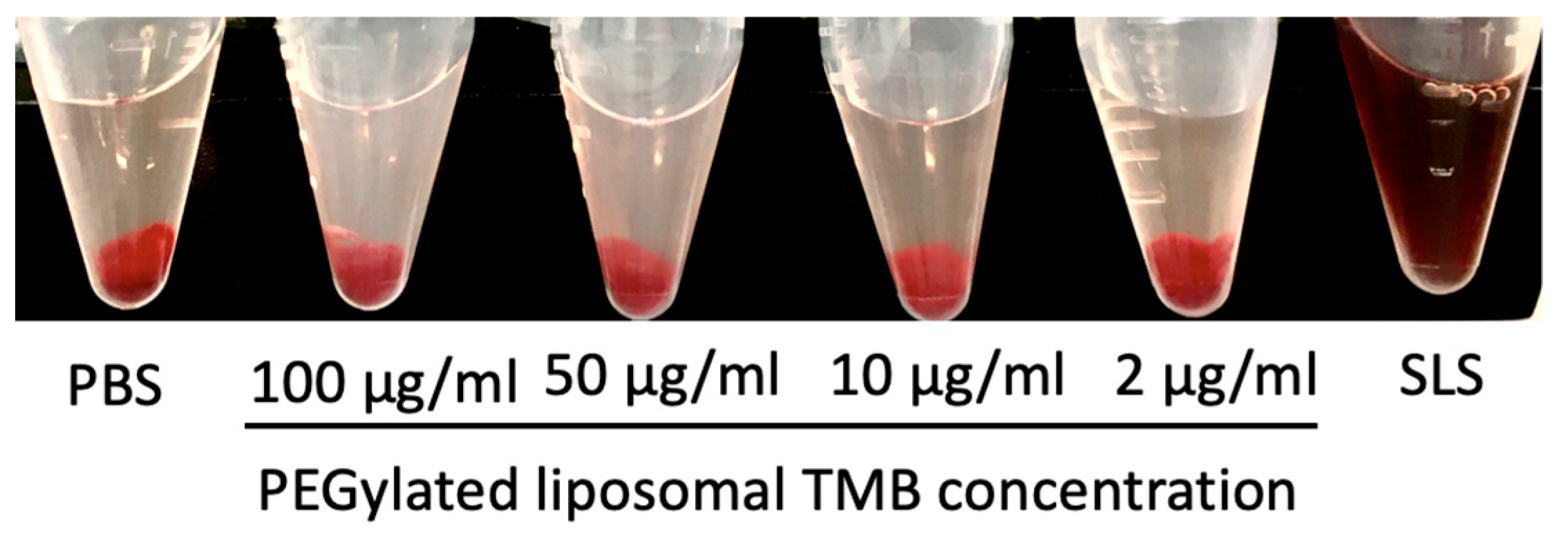 Pharmaceutics 11 00504 g005 Pharmaceutics 11 00504 g005