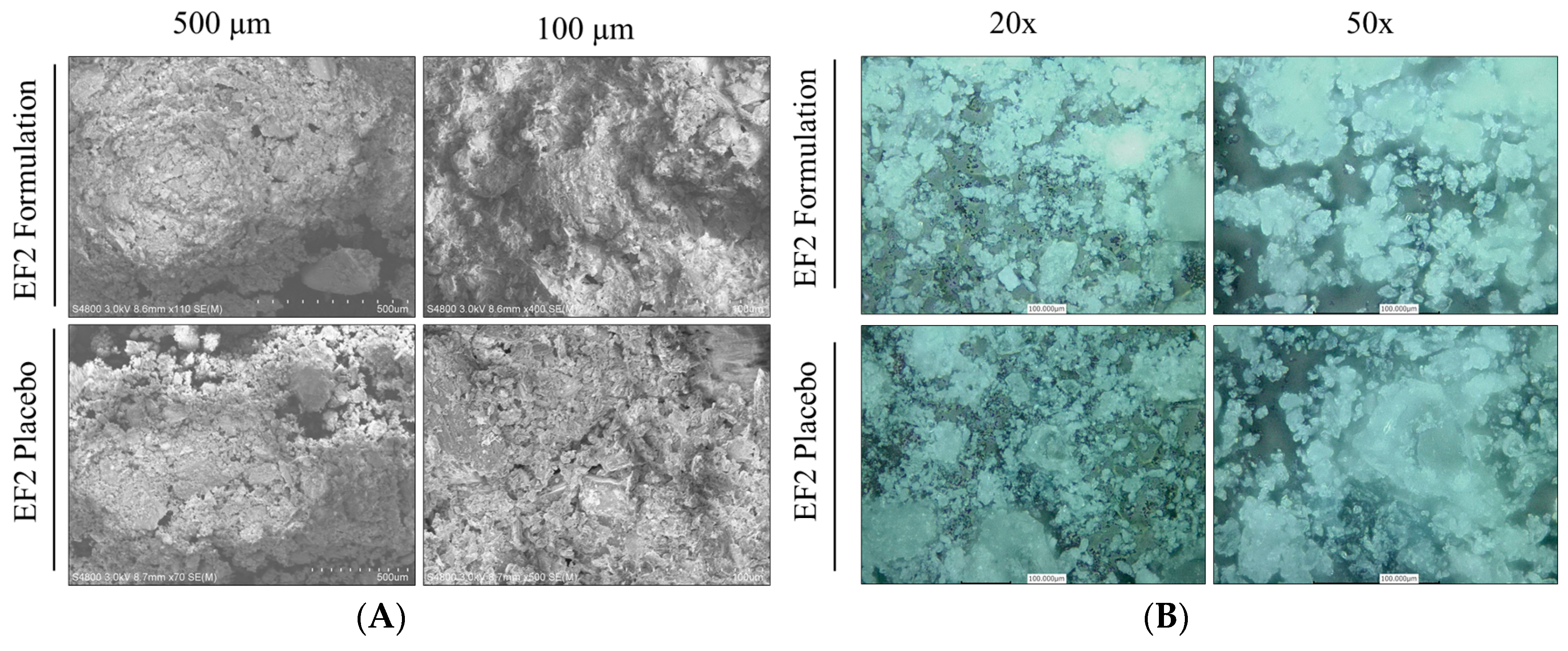 Pharmaceutics 11 00515 g003