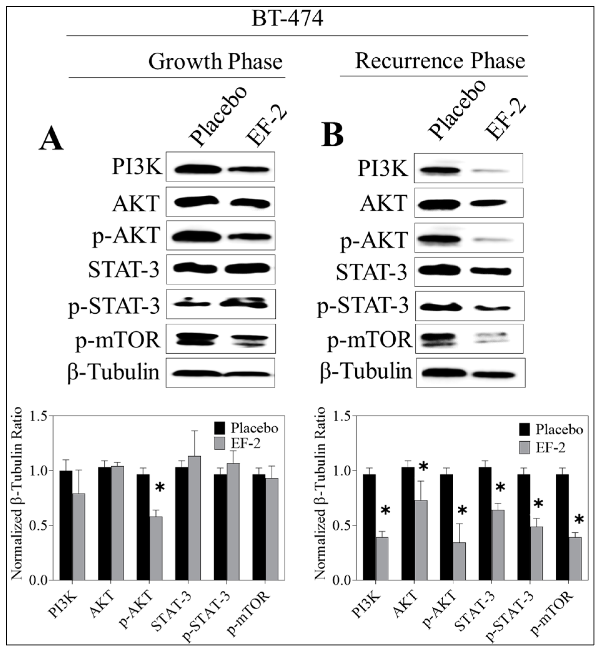 Pharmaceutics 11 00515 g010