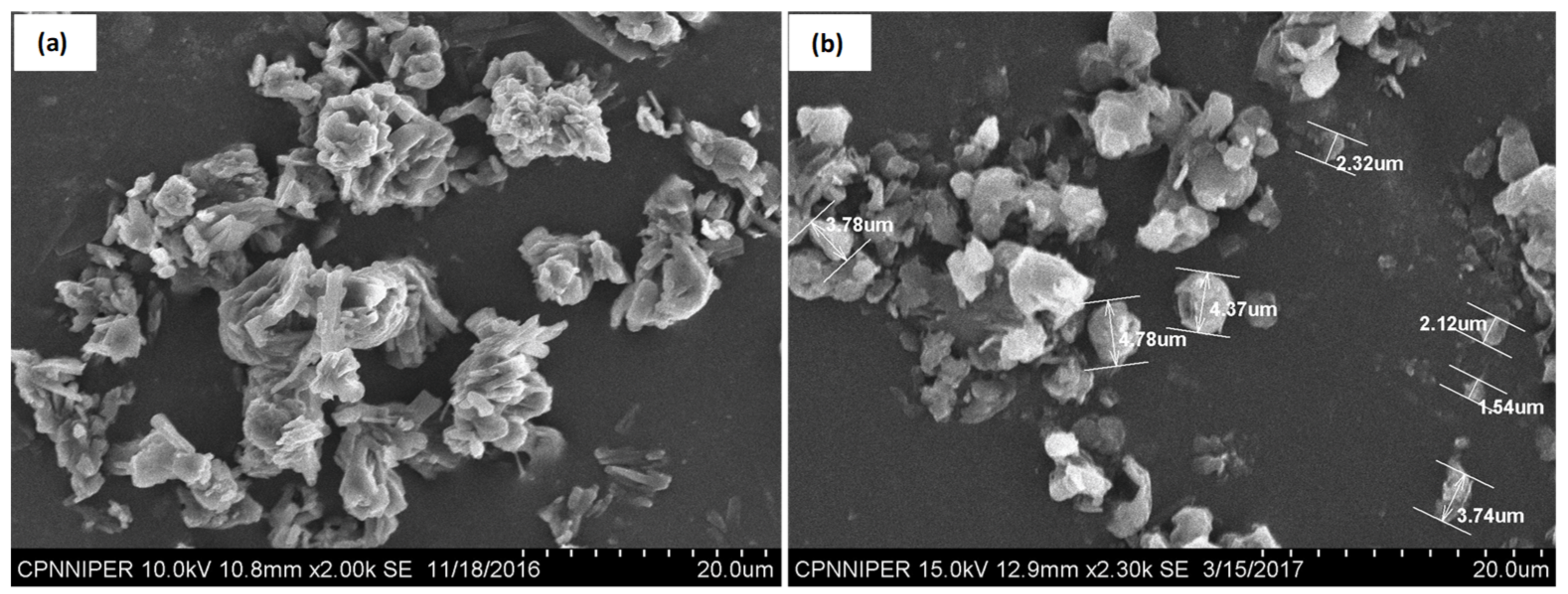 Pharmaceutics 11 00516 g004