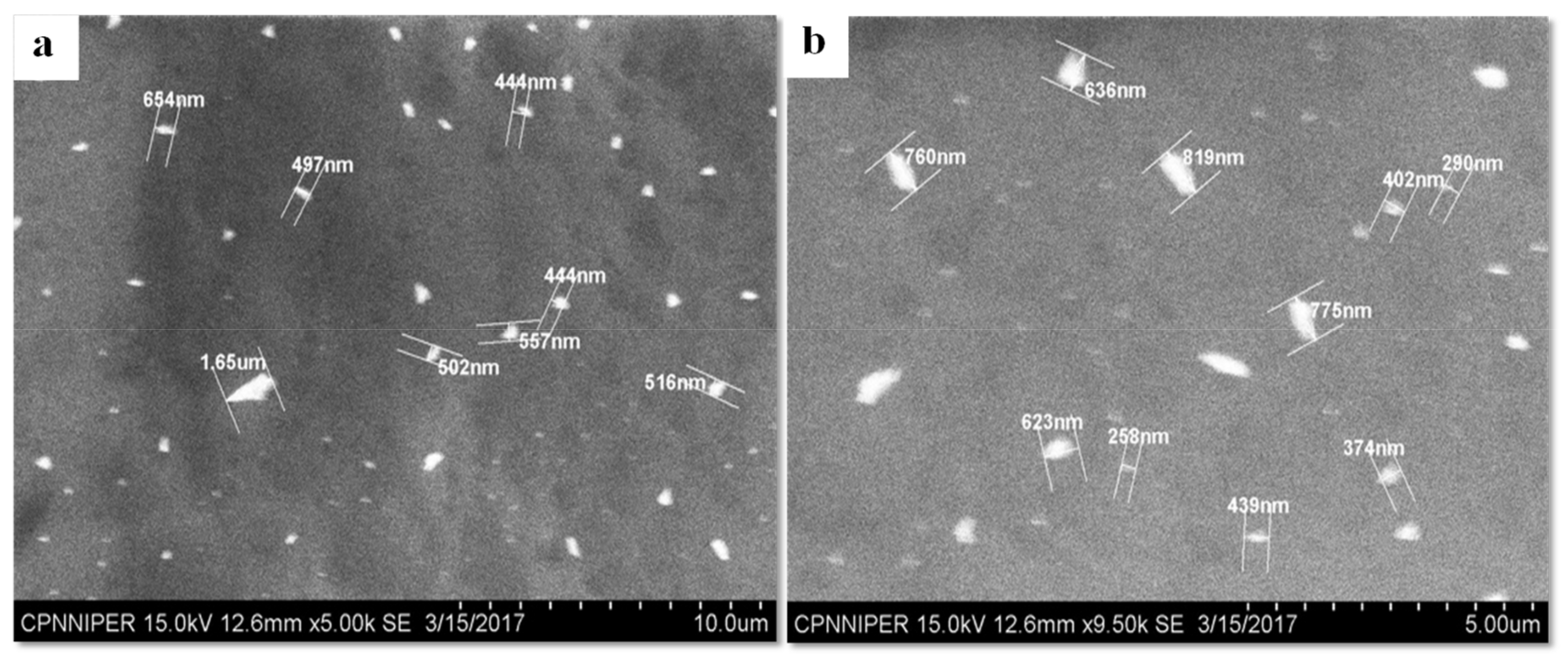 Pharmaceutics 11 00516 g007