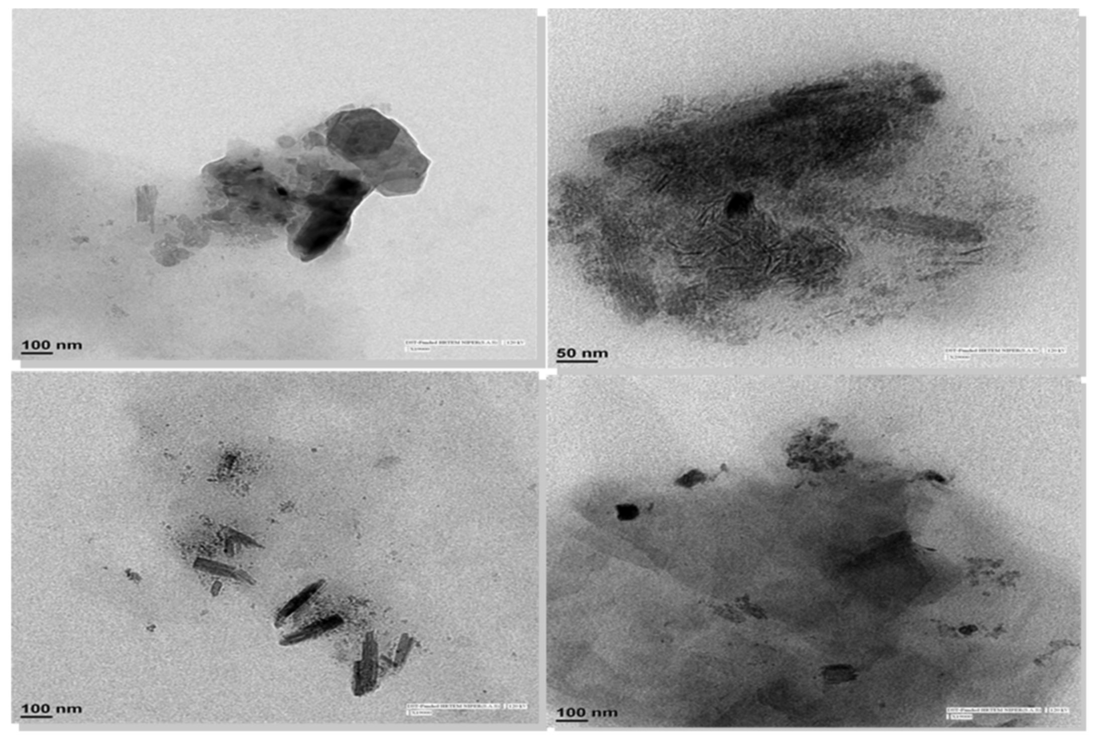 Pharmaceutics 11 00516 g009