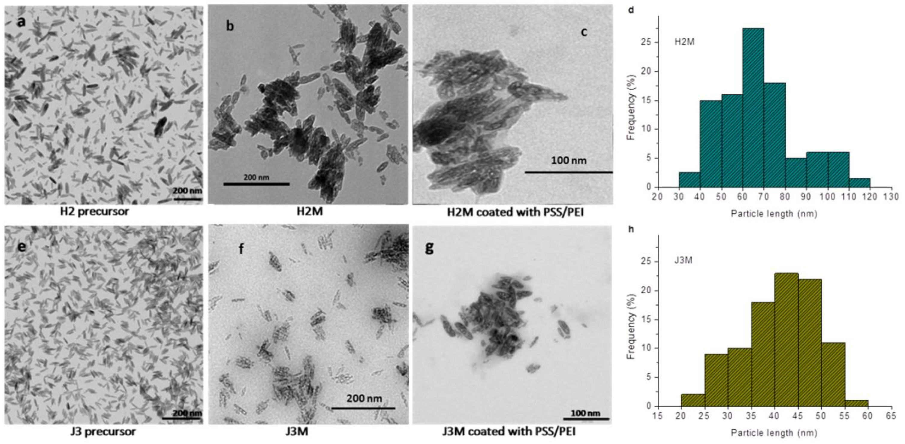 Pharmaceutics 11 00517 g001 Pharmaceutics 11 00517 g001