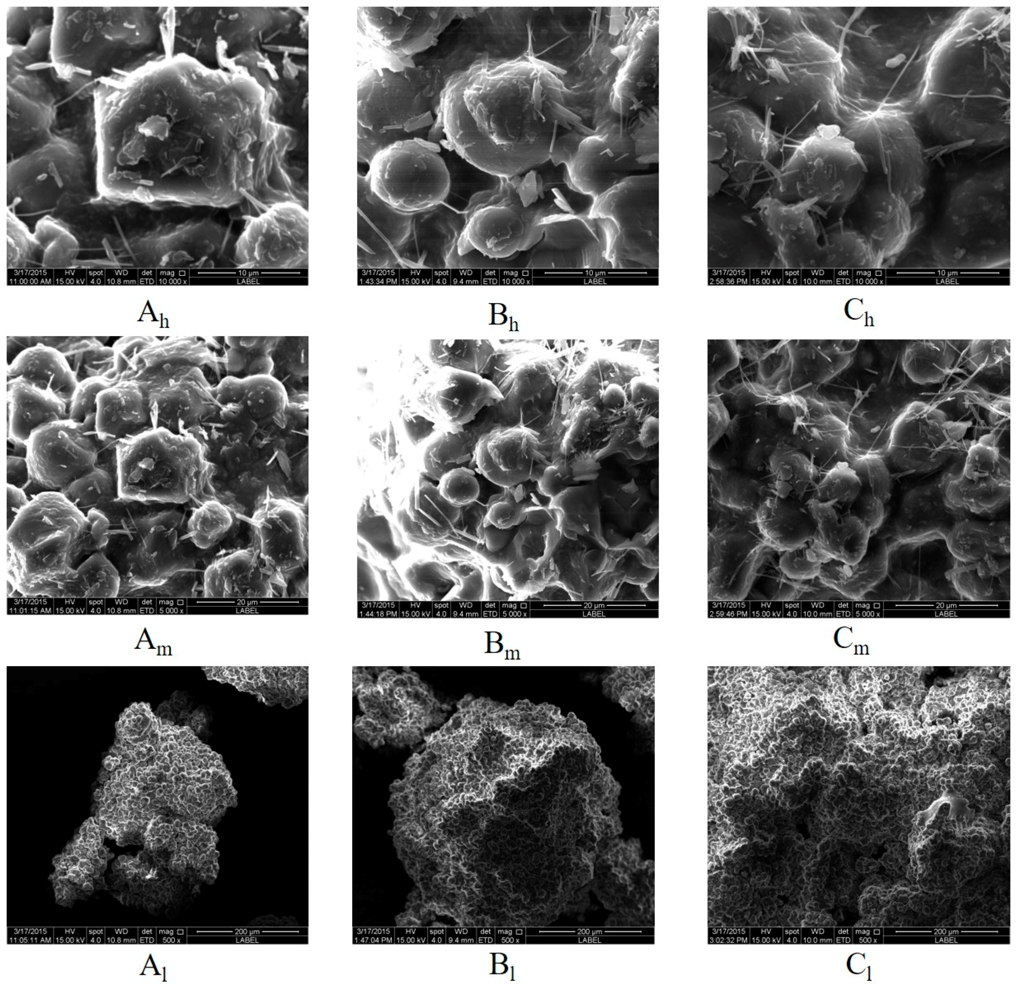 Pharmaceutics 11 00519 g006