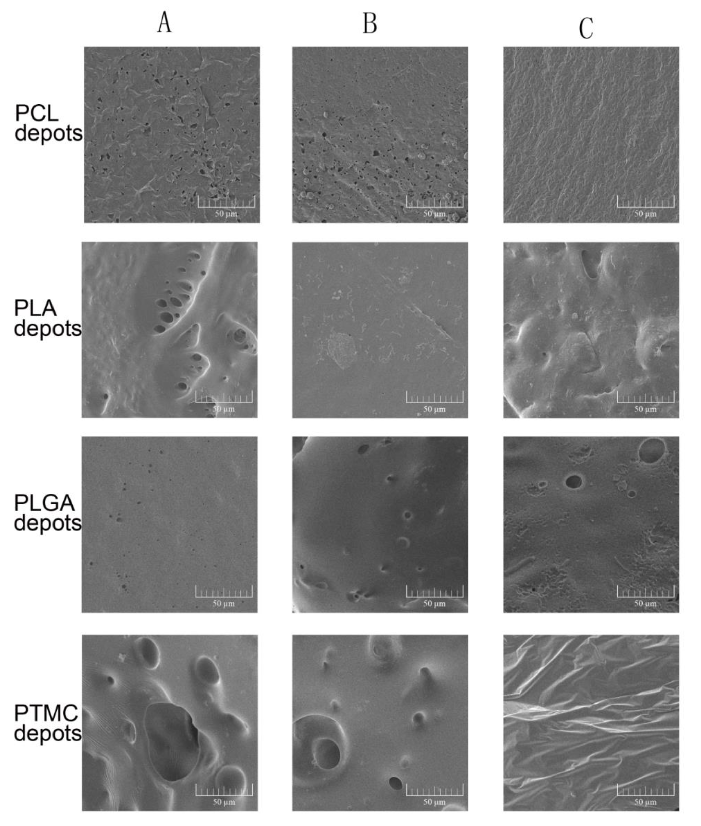 Pharmaceutics 11 00520 g005 Pharmaceutics 11 00520 g005