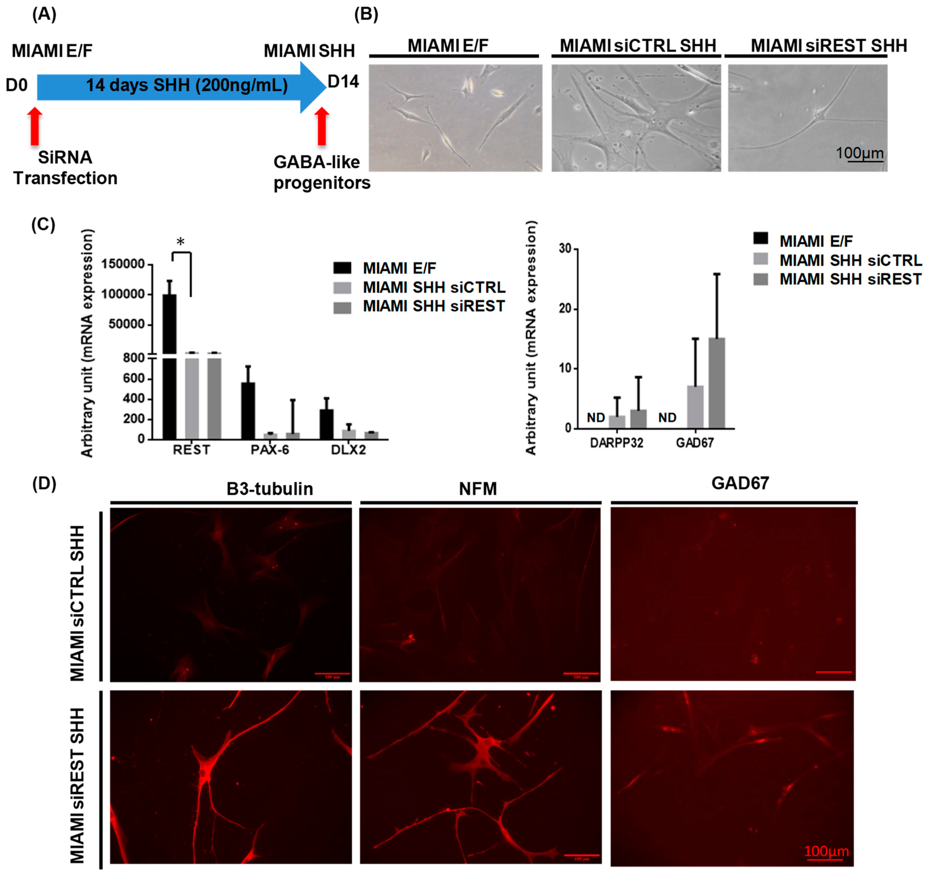 Pharmaceutics 11 00526 g003 Pharmaceutics 11 00526 g003