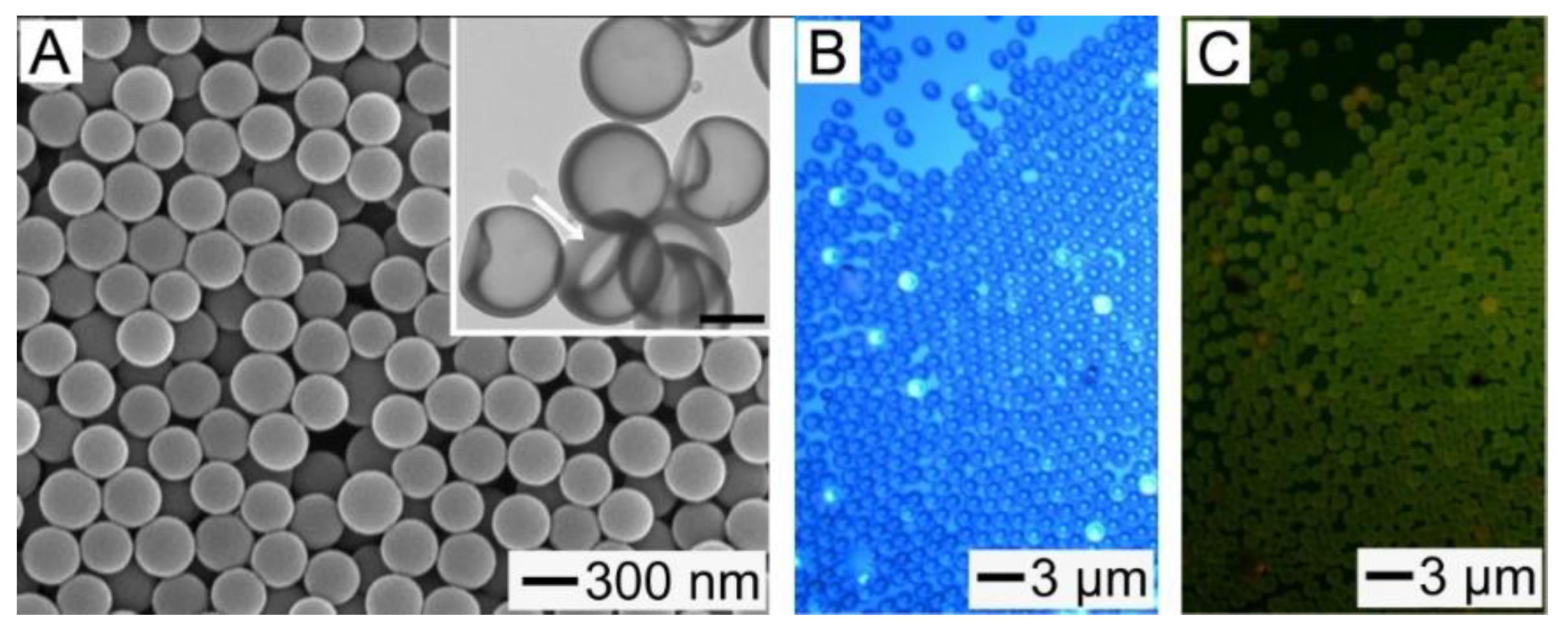 Pharmaceutics 11 00528 g004 550
