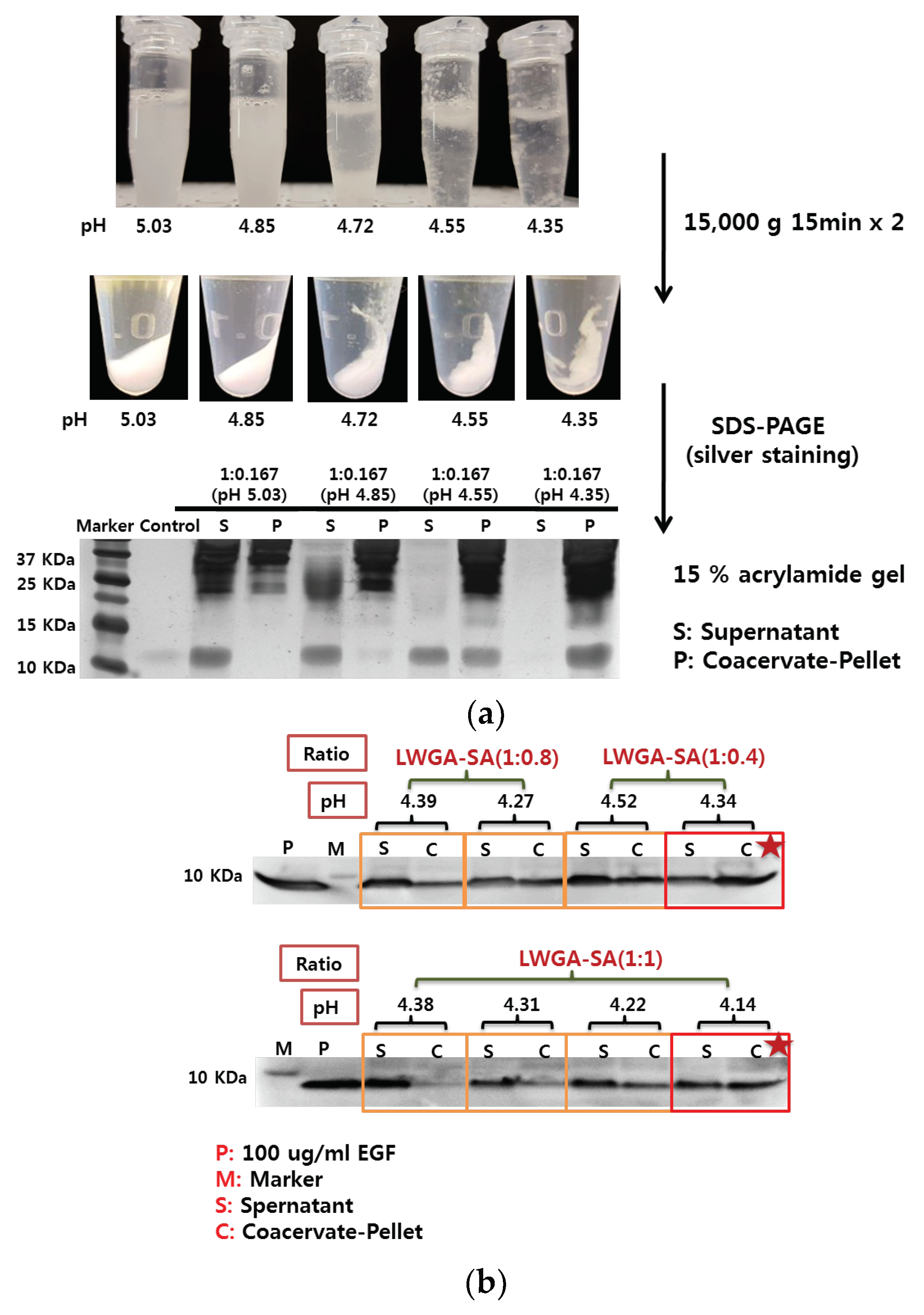Pharmaceutics 11 00530 g003 Pharmaceutics 11 00530 g003