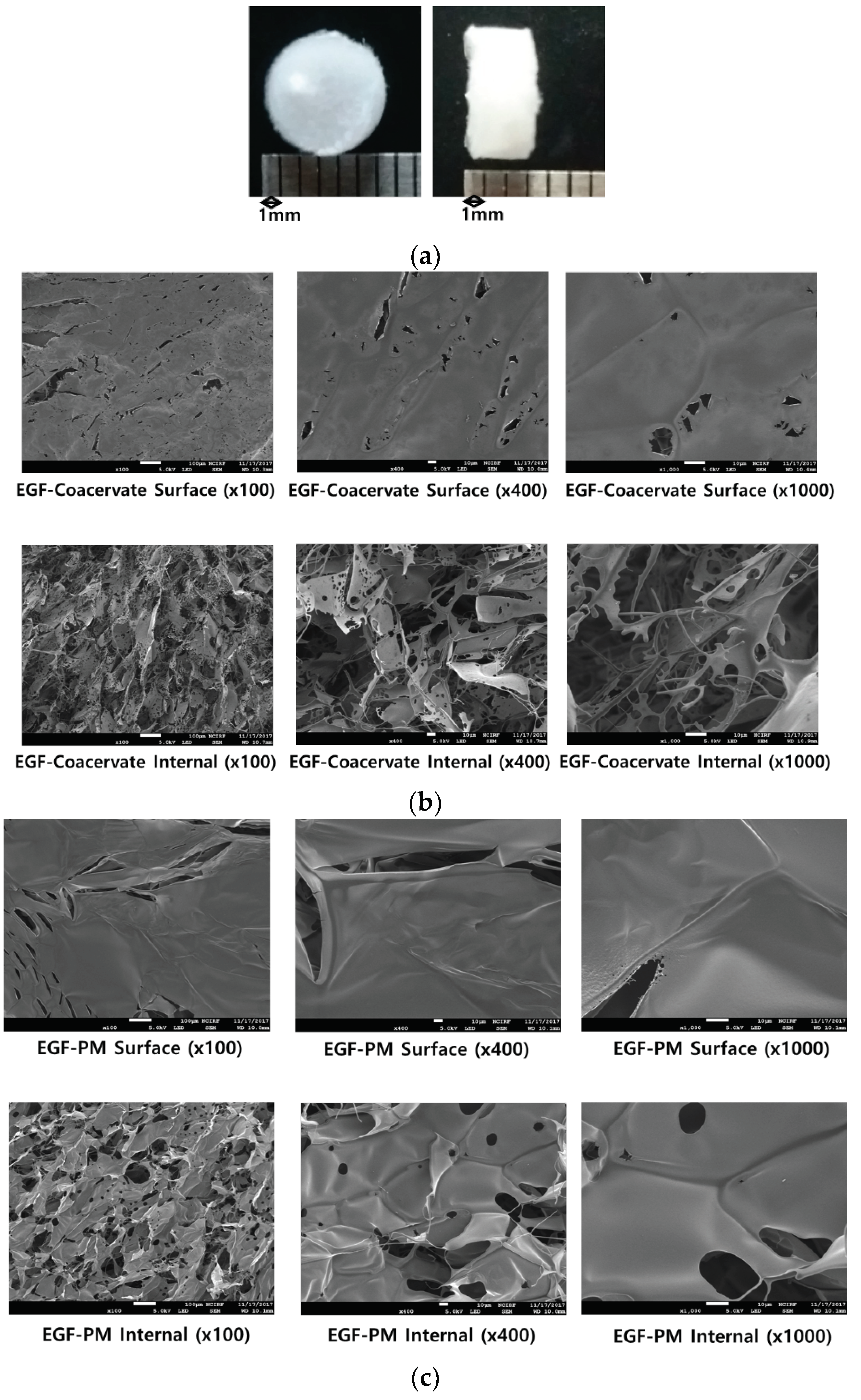 Pharmaceutics 11 00530 g004 Pharmaceutics 11 00530 g004
