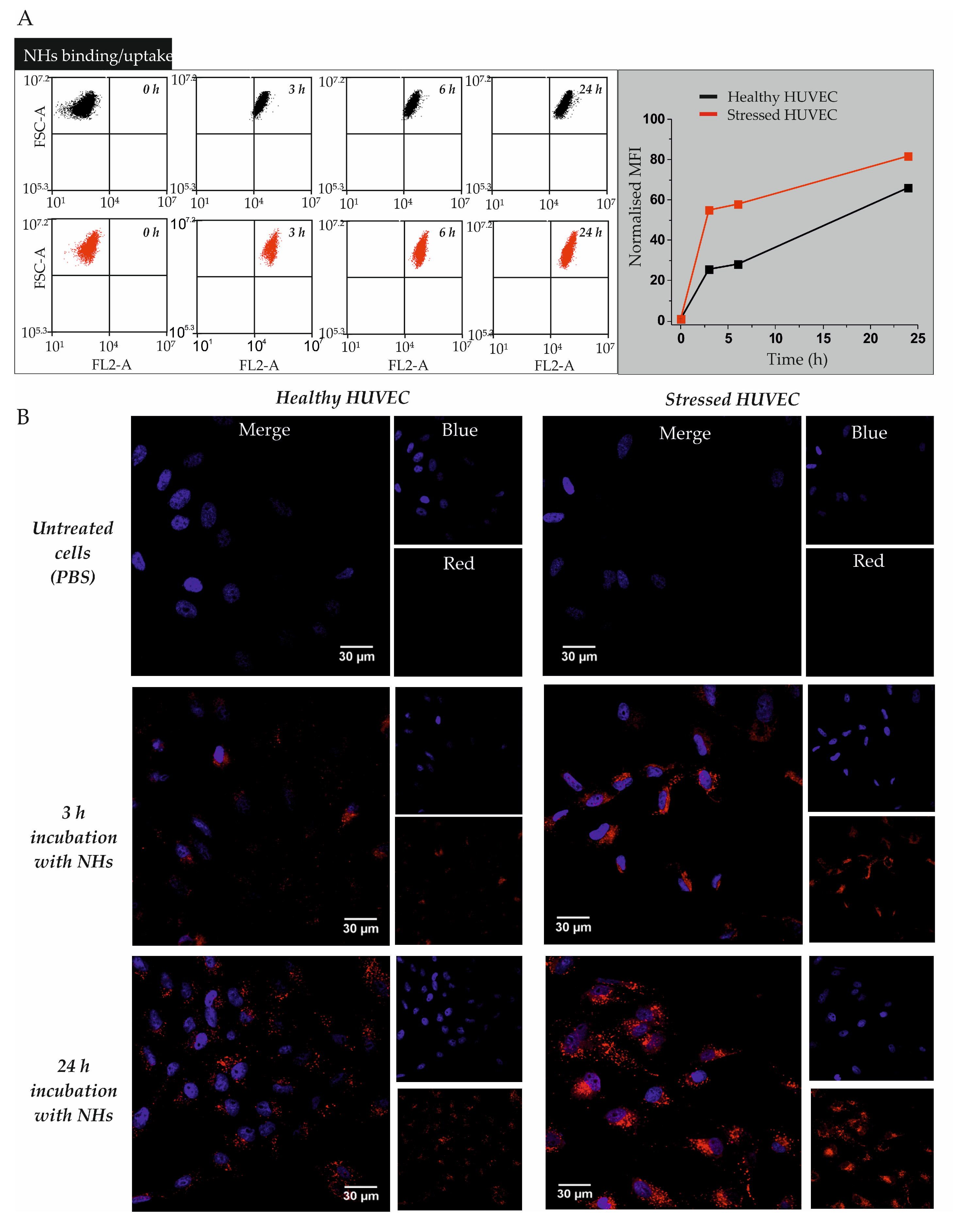 Pharmaceutics 11 00532 g001
