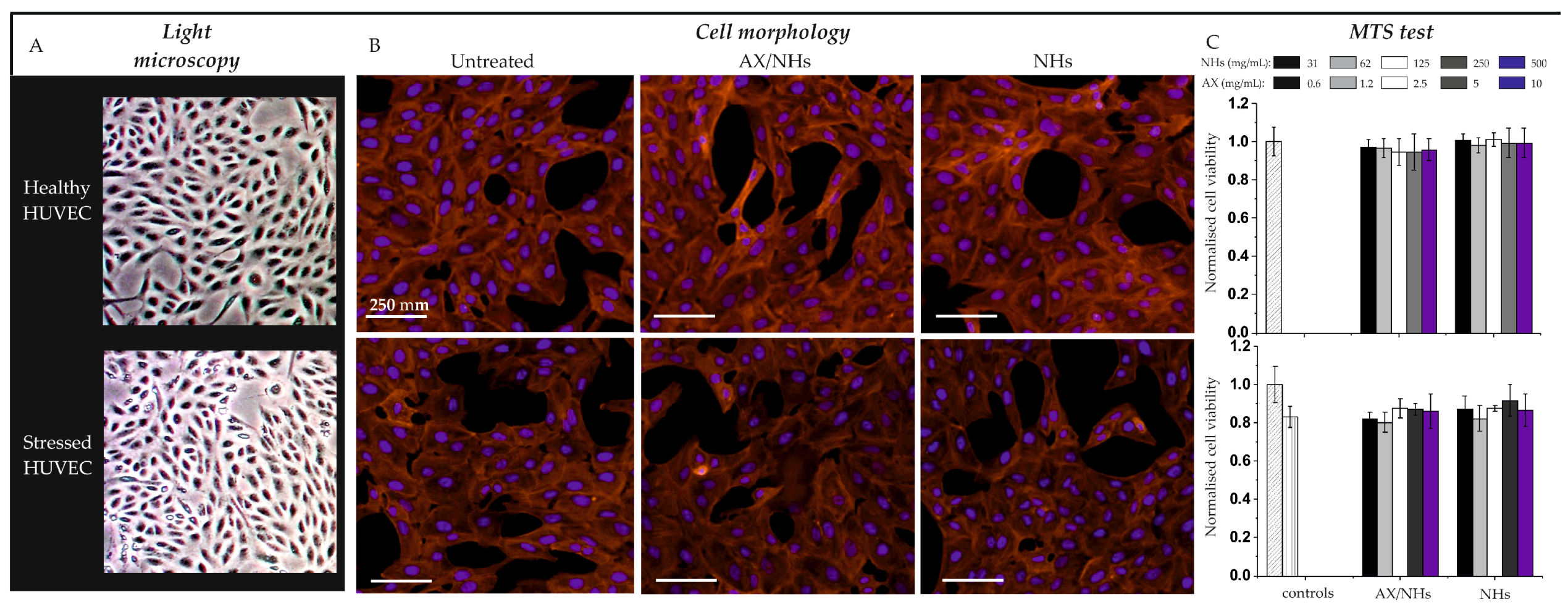 Pharmaceutics 11 00532 g004